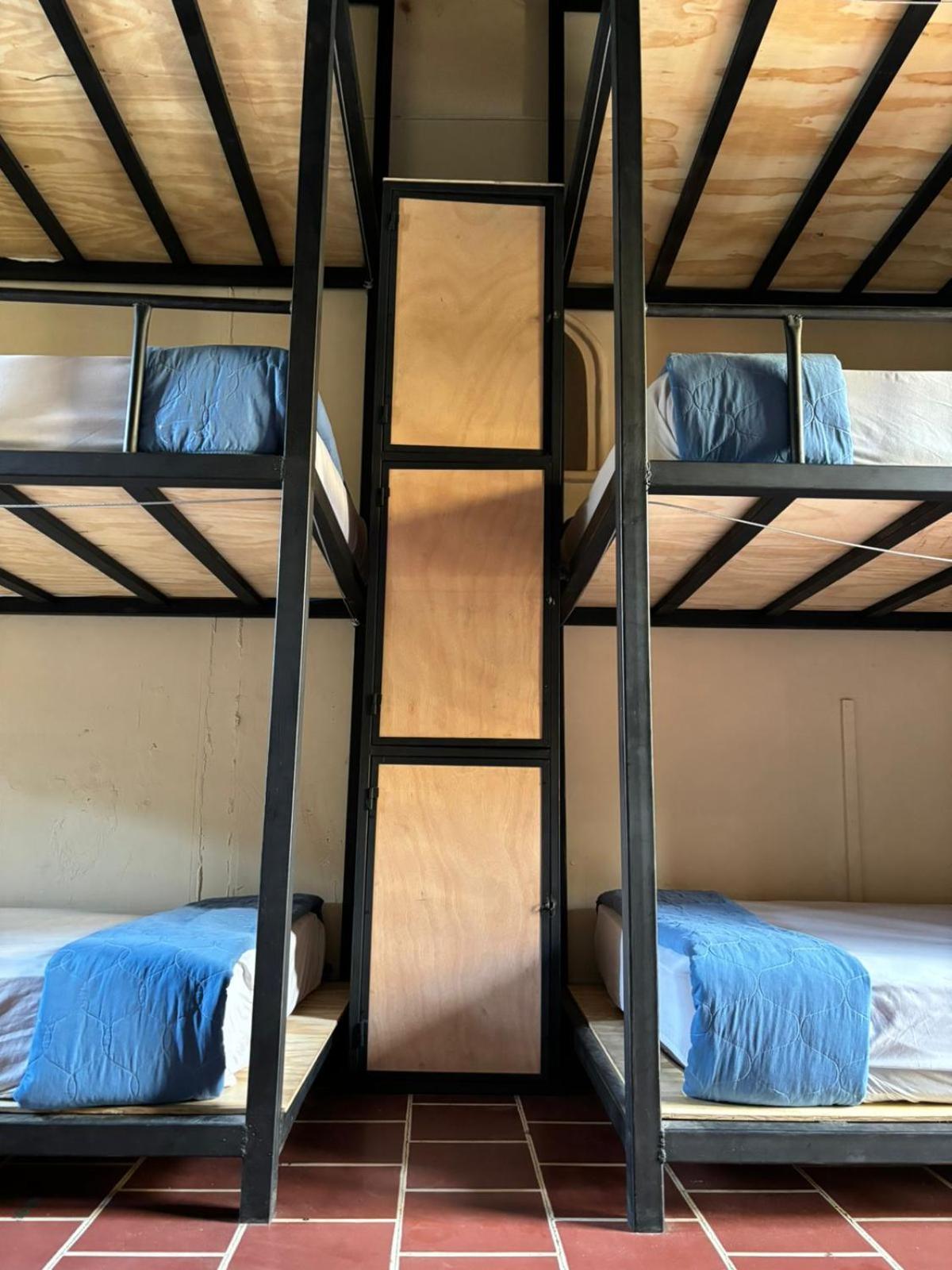 Bunk Bed In Mixed Dormitory Room photo 3