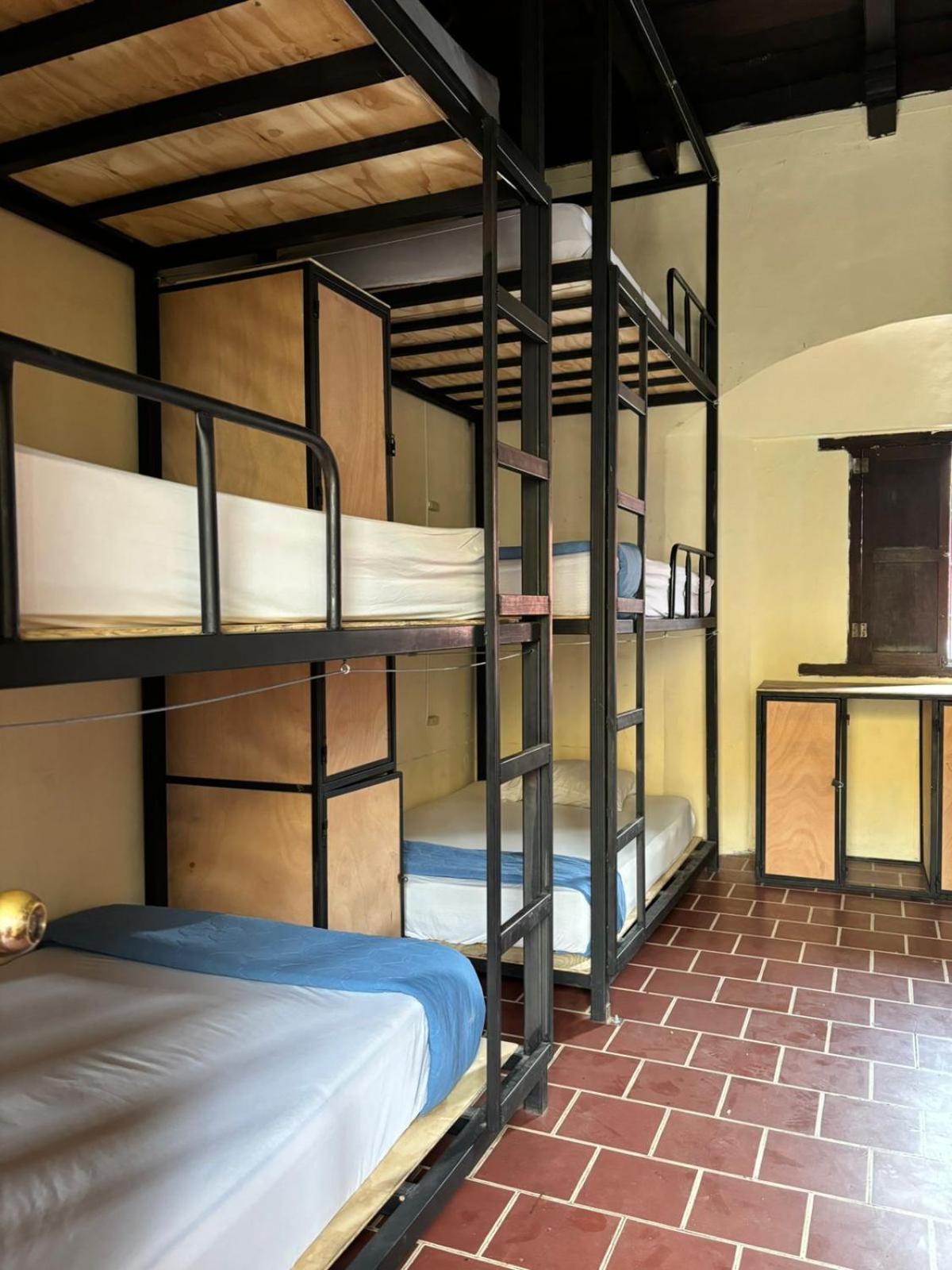 Bunk Bed In Mixed Dormitory Room photo 1