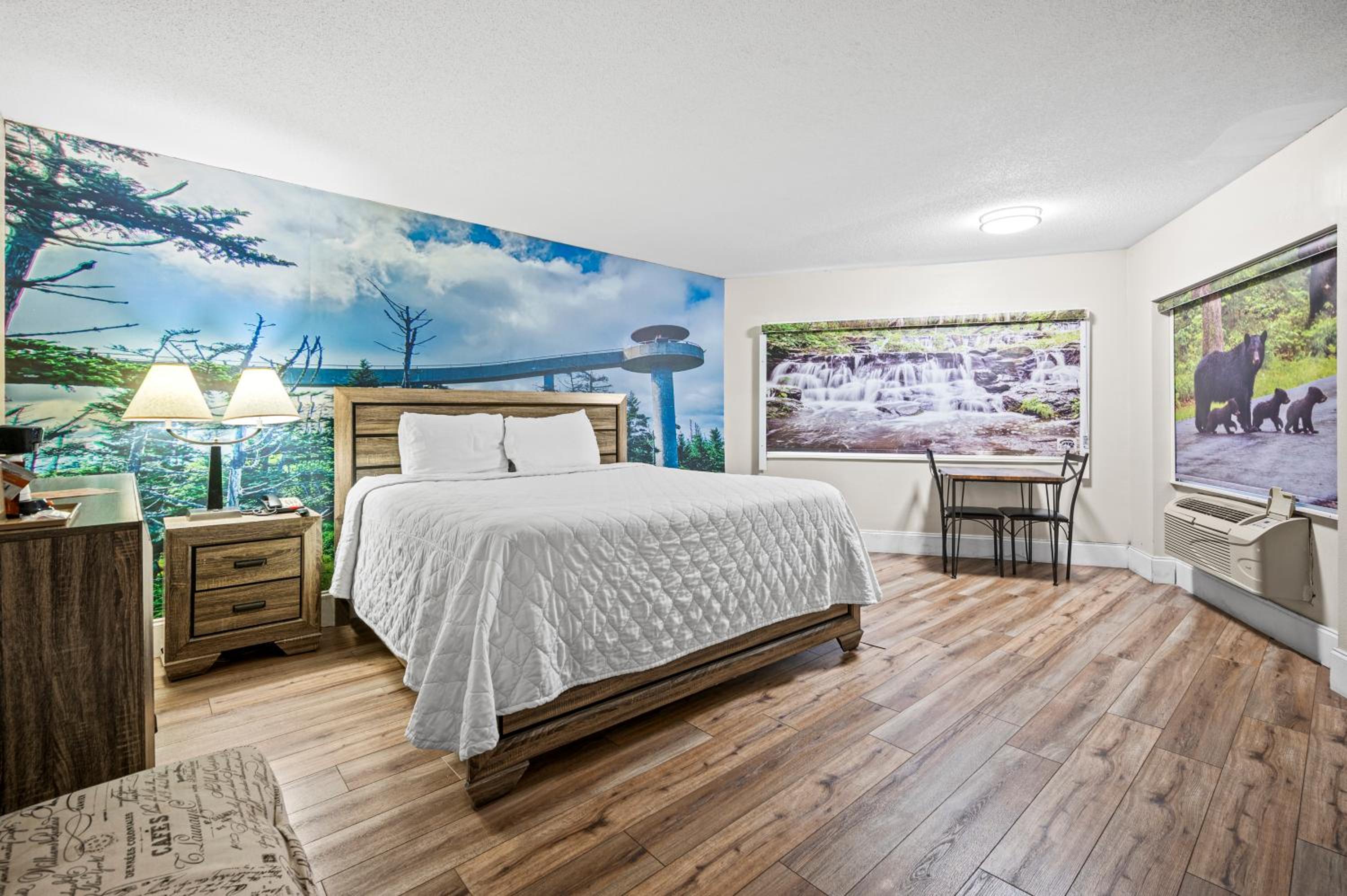 King Room photo 1