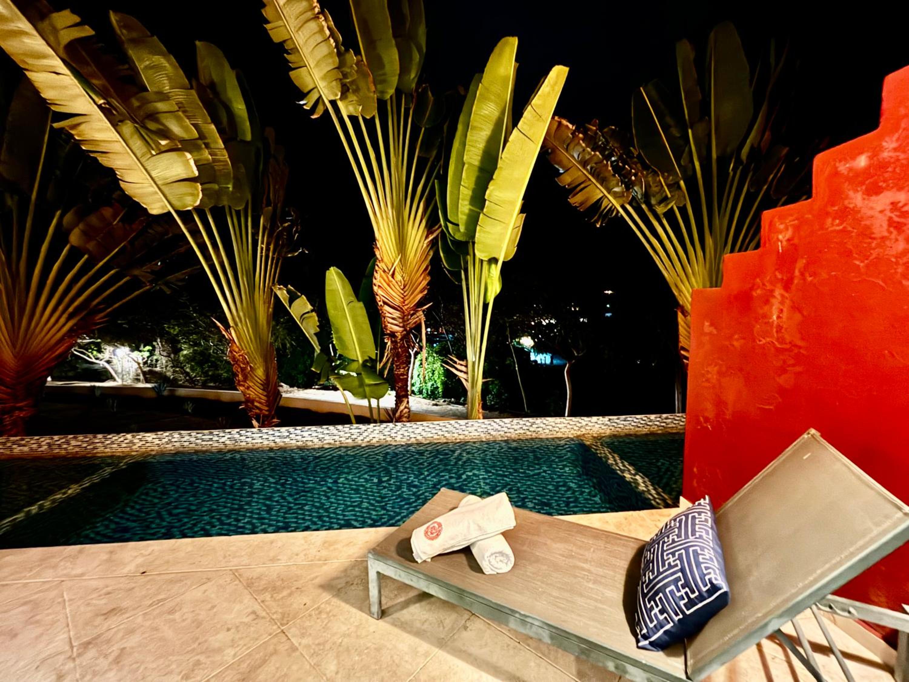 Suite with Private Pool - Photo 11