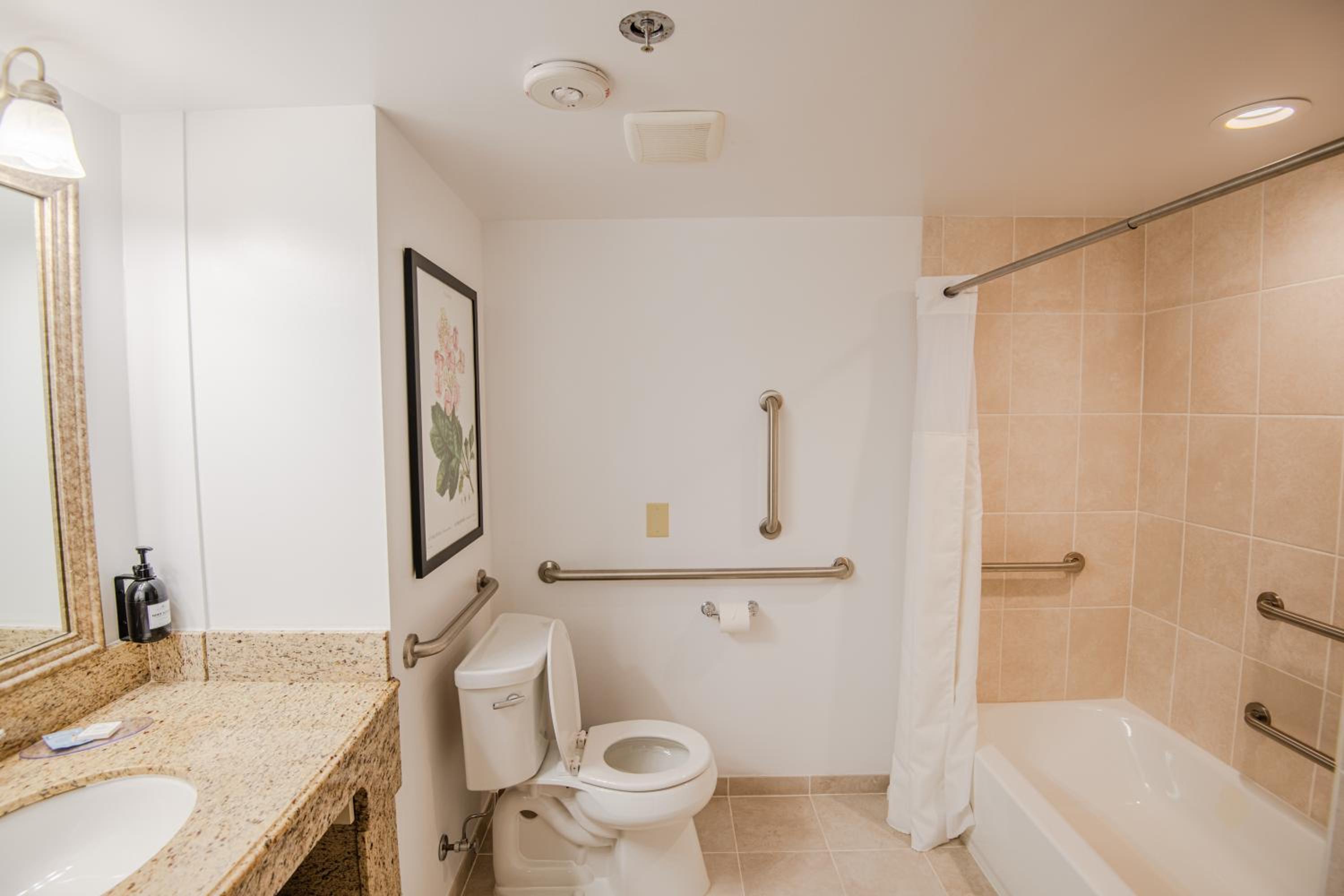 King Room with Bath Tub - Mobility Access - Photo 5