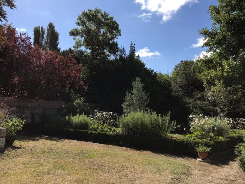 Double Room with Garden View photo 1