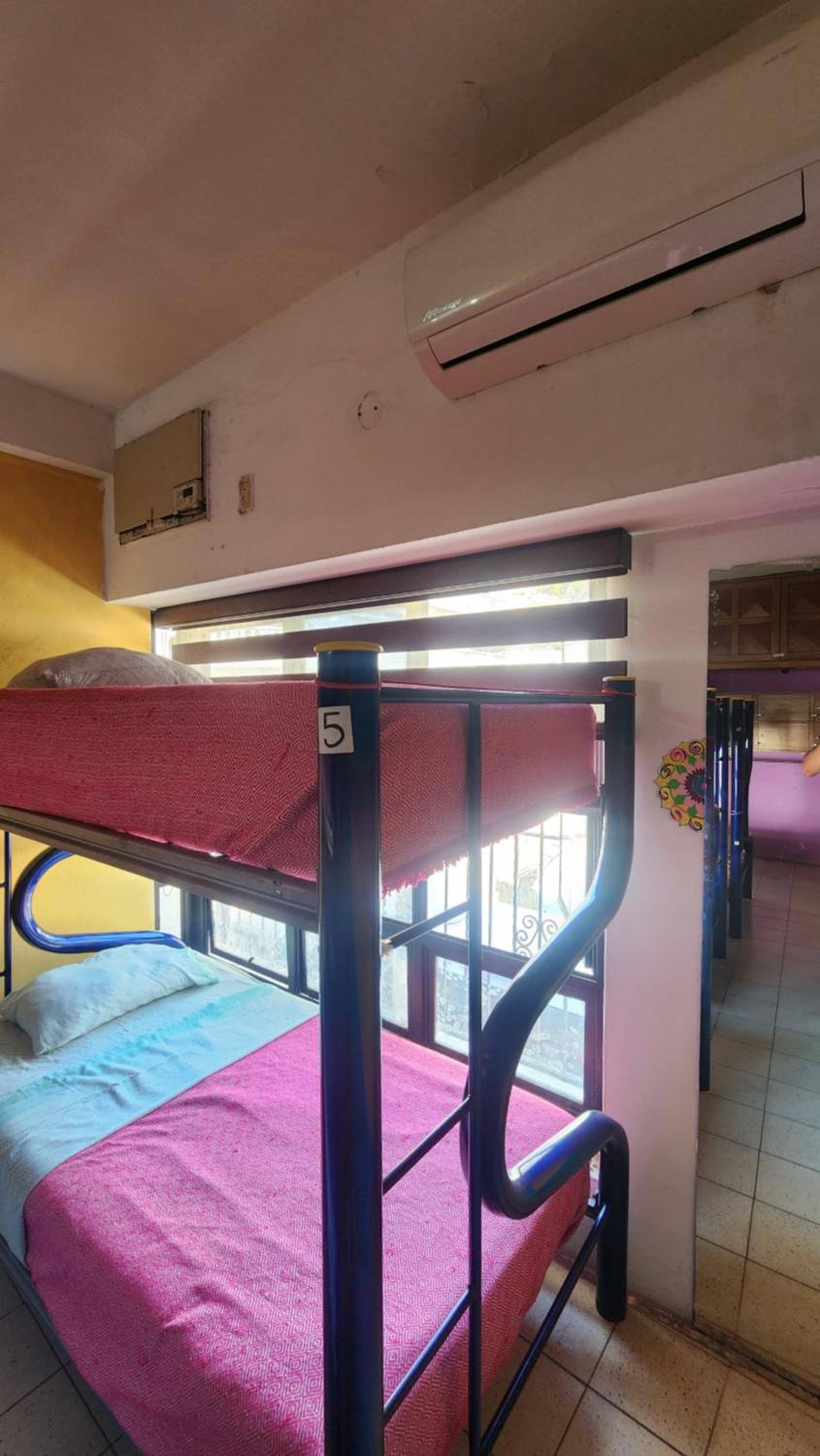Single Bed in Mixed Dormitory Room photo 3