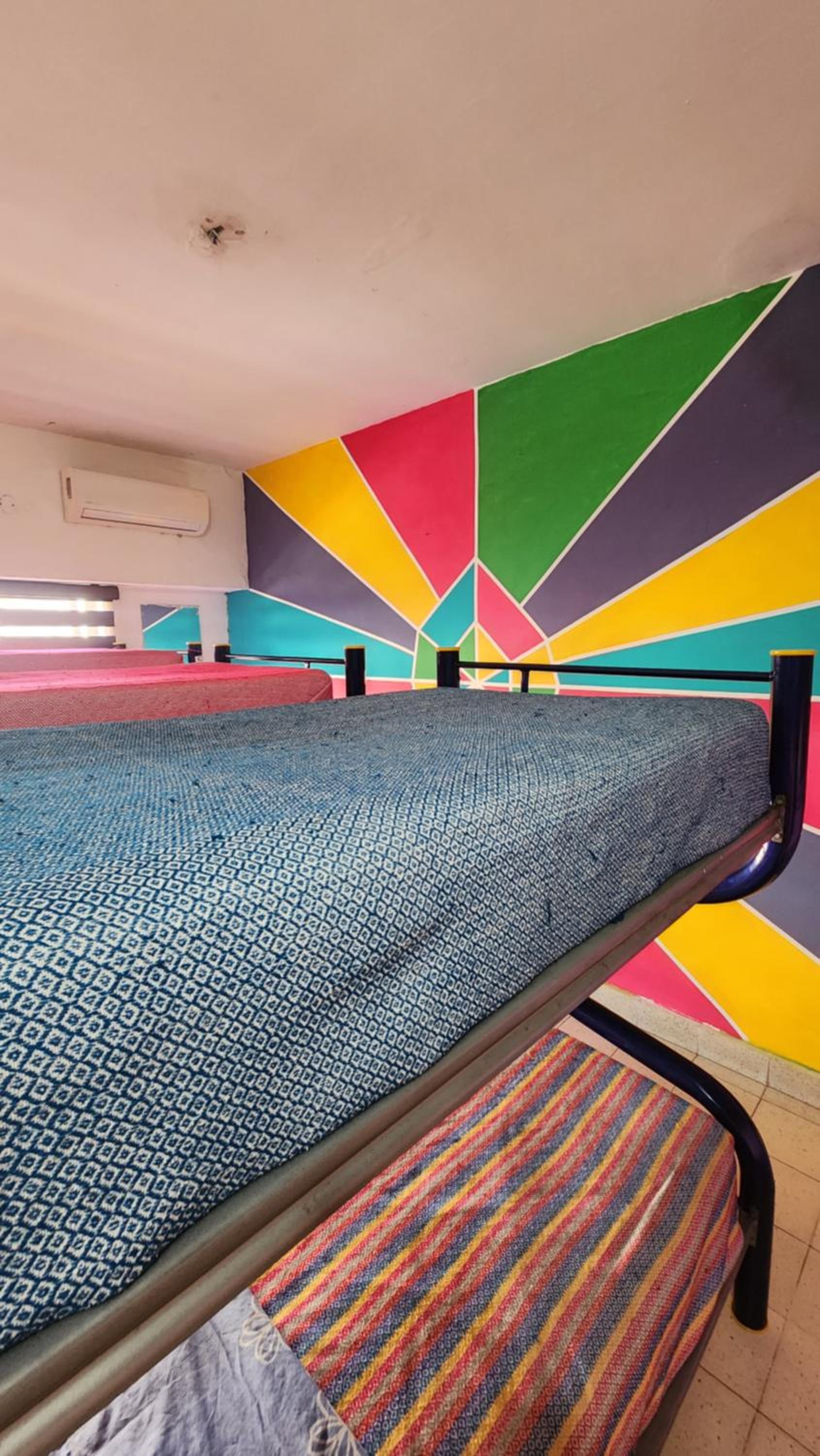 Single Bed in Mixed Dormitory Room