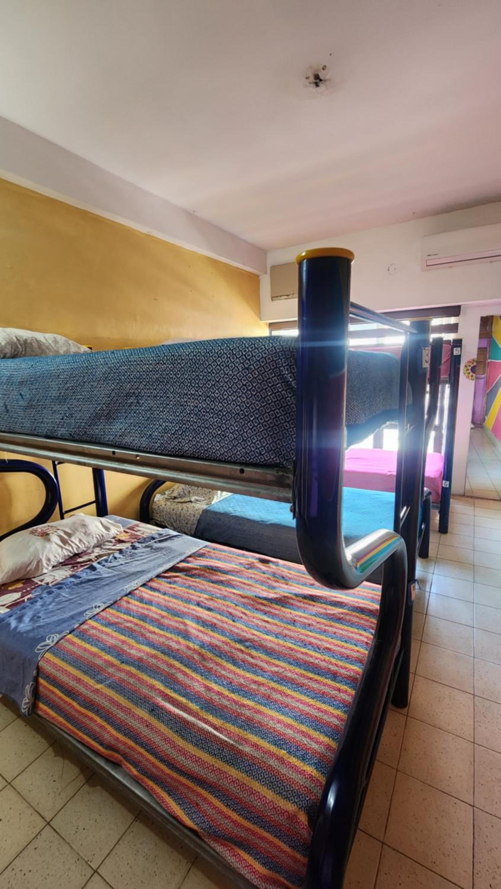 Single Bed in Mixed Dormitory Room photo 2