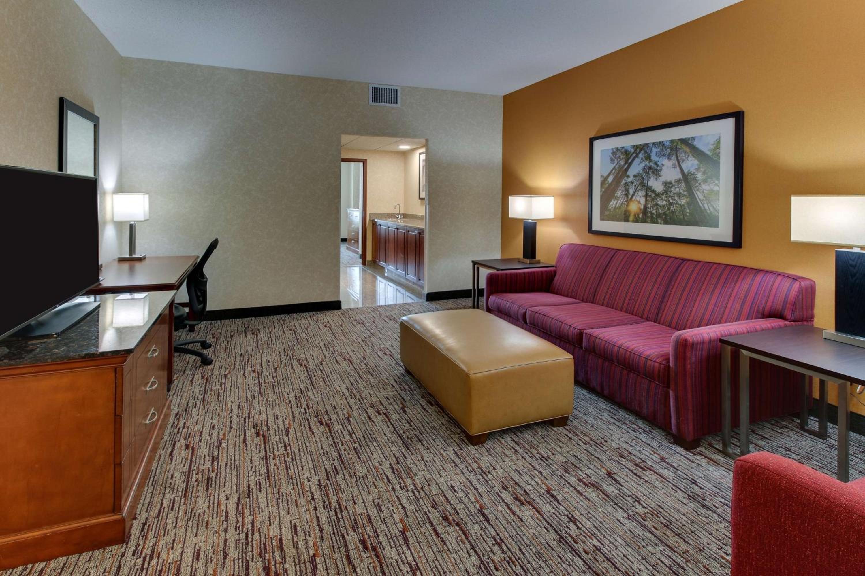 King Suite with Sofa Bed - Accessible, Tub