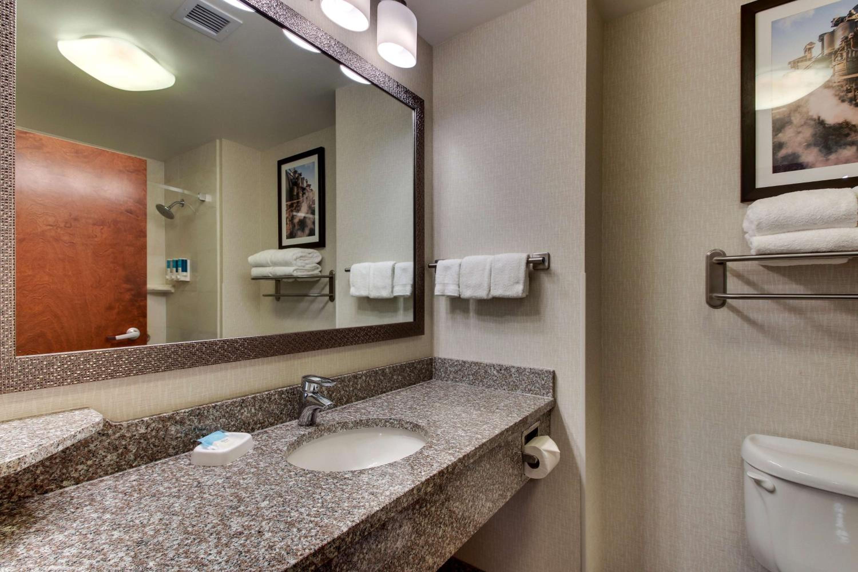 King Suite with Sofa Bed