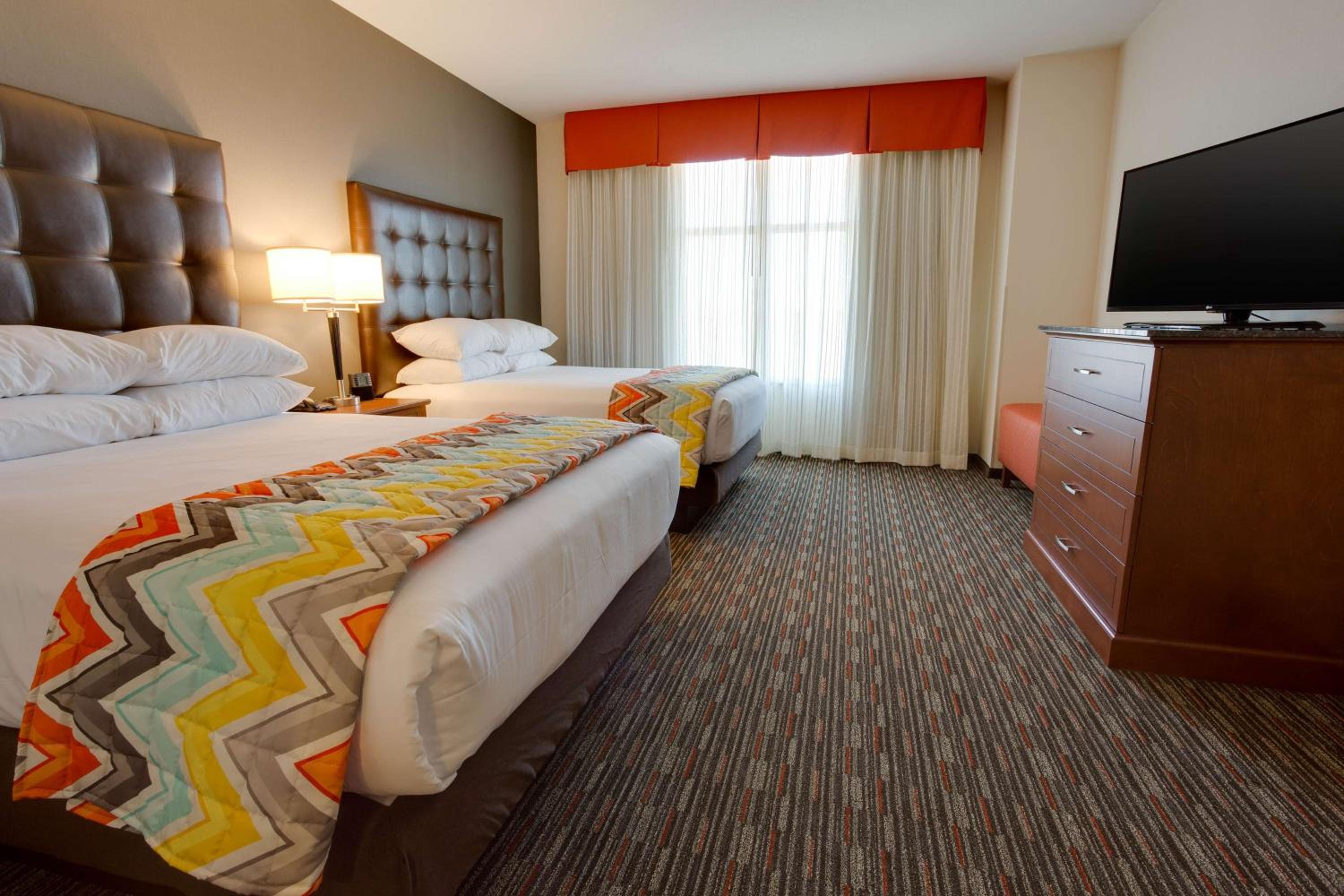Queen Suite with Sofa Bed - Hearing Accessible photo 1