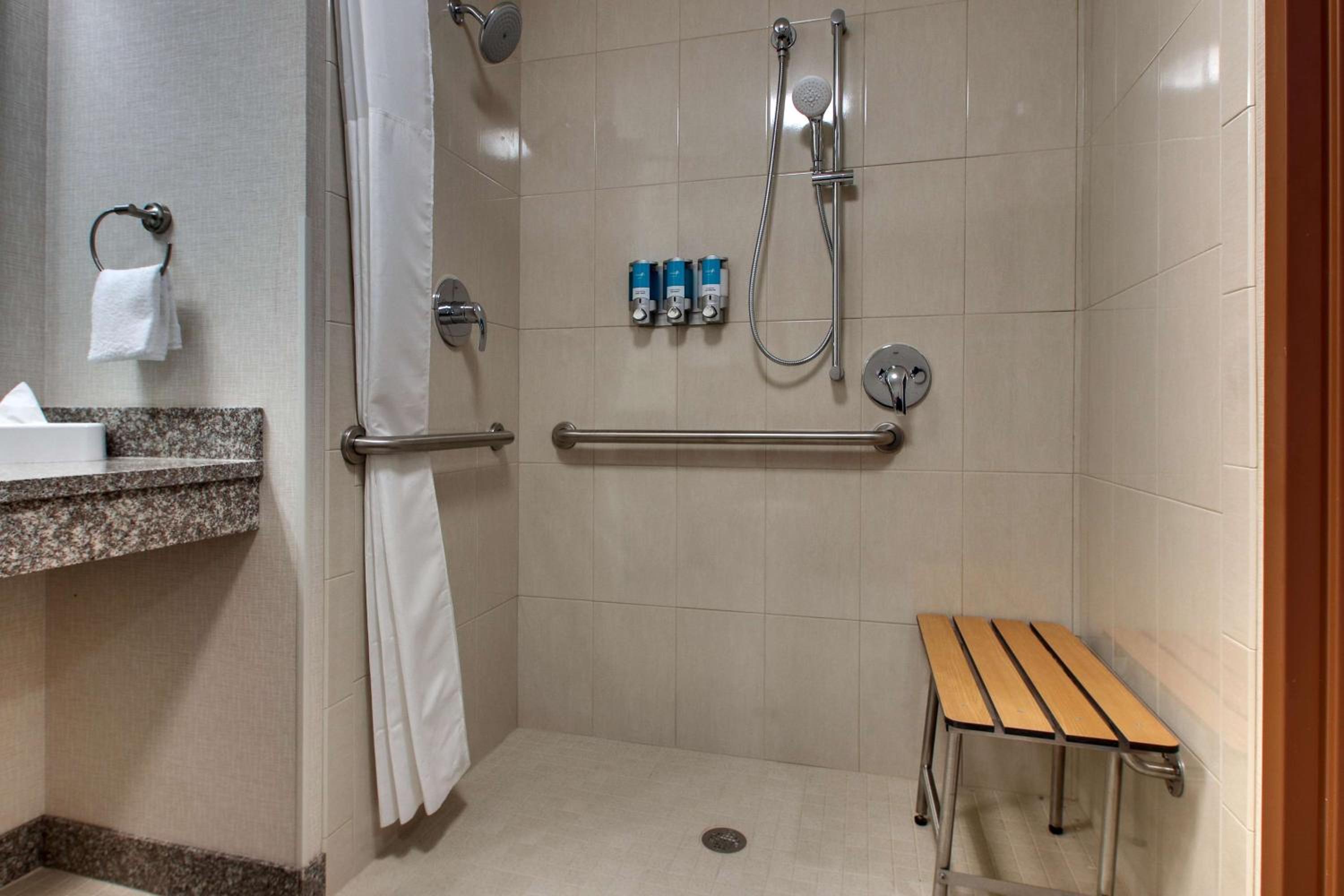 King Suite with Sofa Bed - Accessible, Roll-in Shower