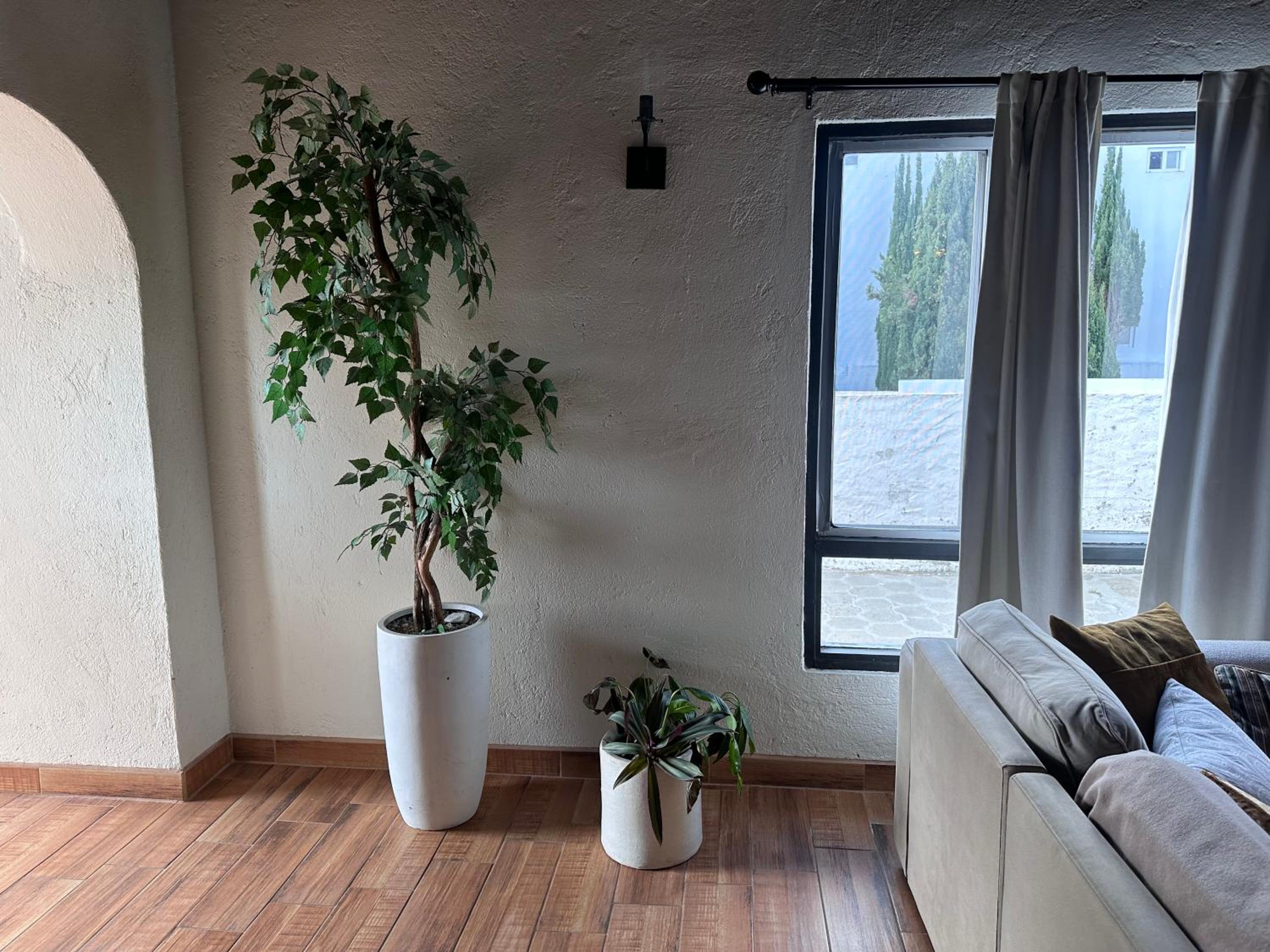 Two-Bedroom House photo 3