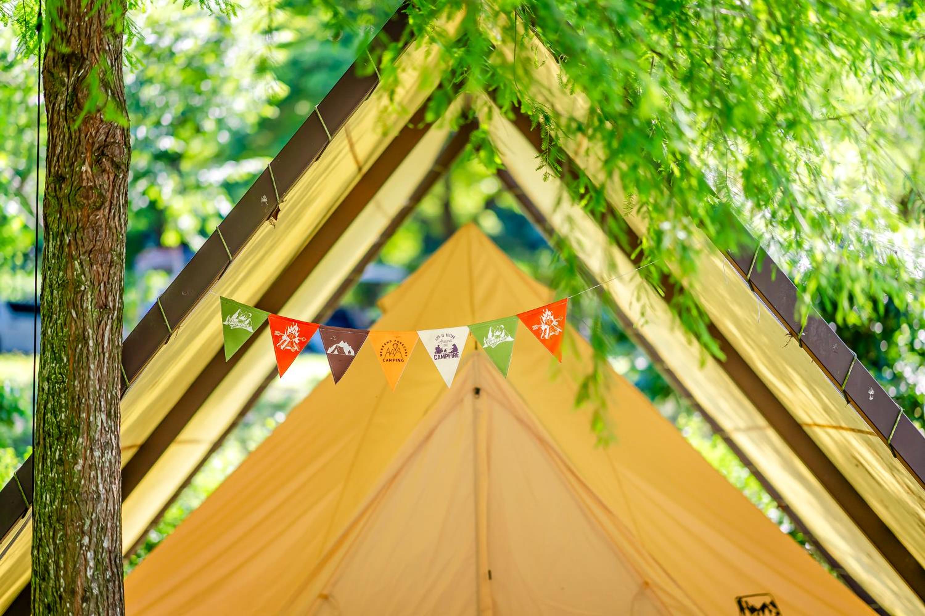 Tent - Photo 8