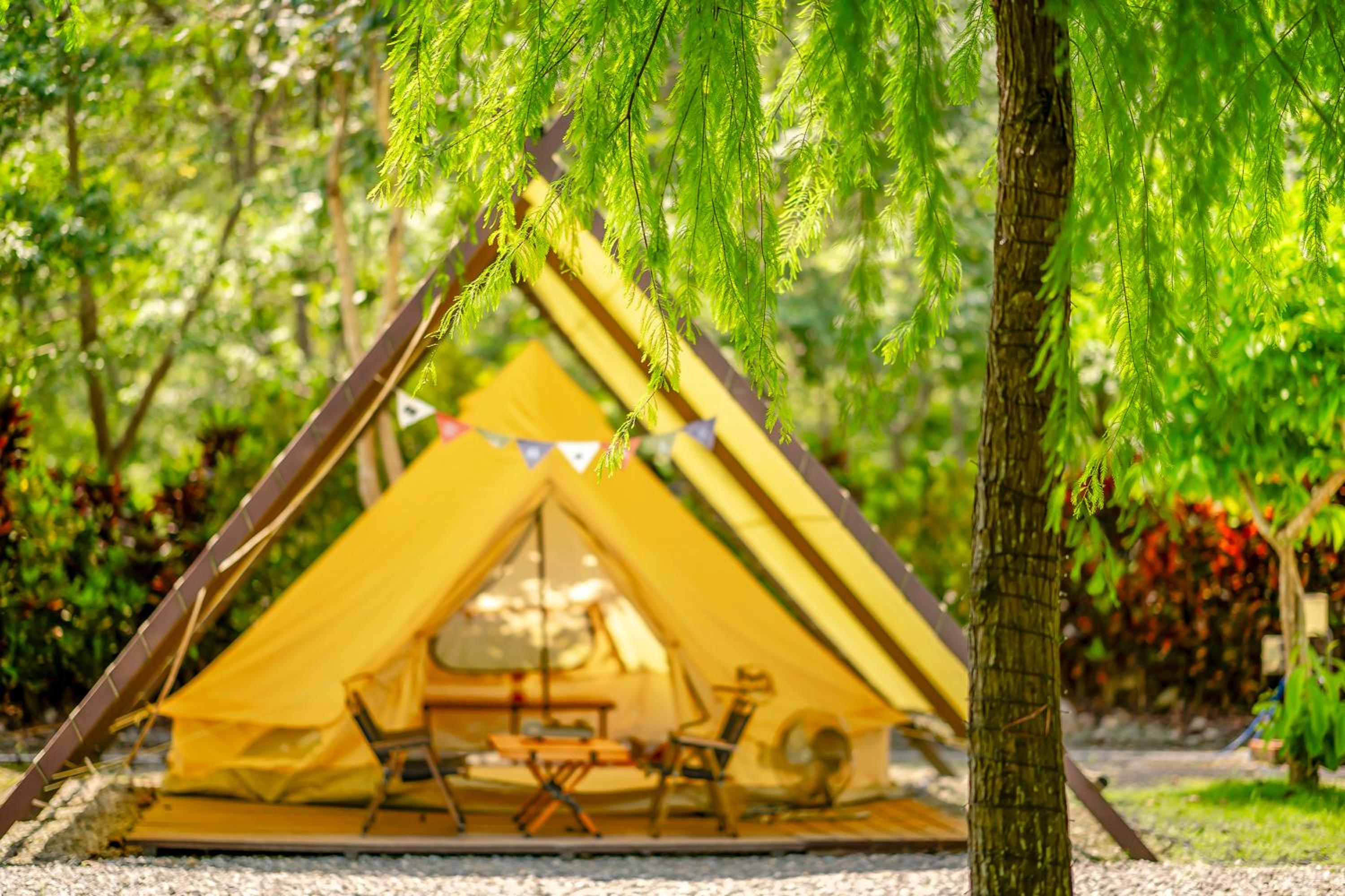 Tent - Photo 13