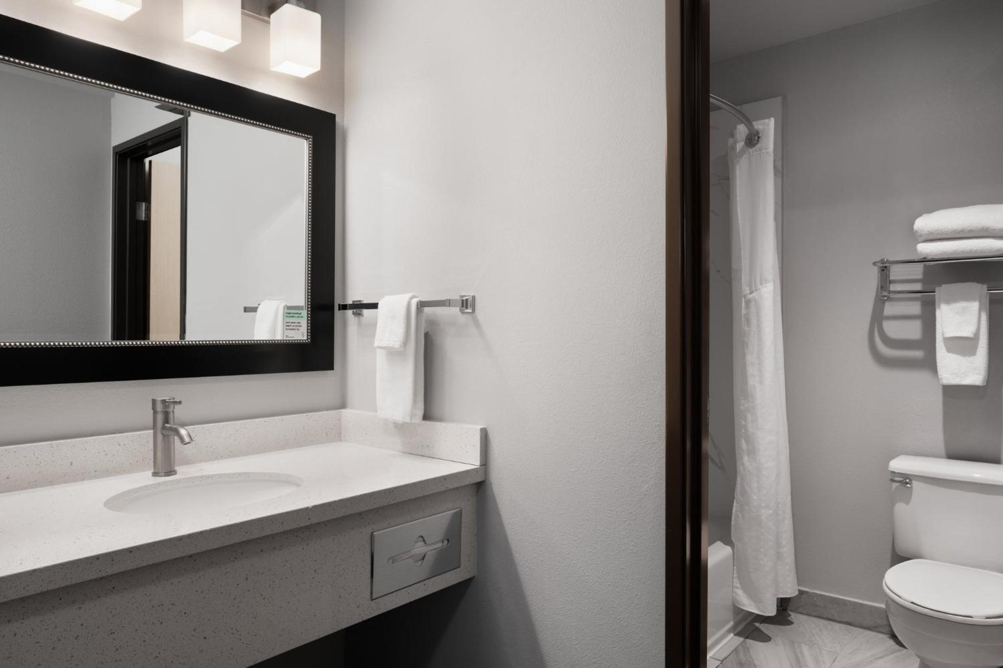 One-Bedroom King Suite - Photo 4