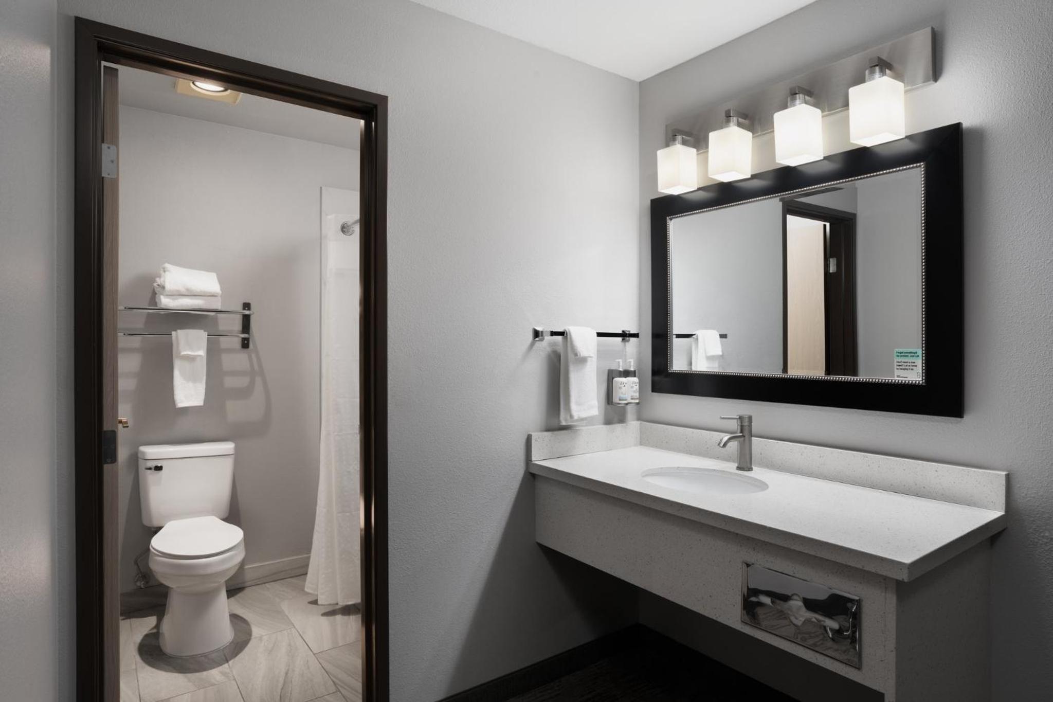 King Suite with Living Area - Photo 4