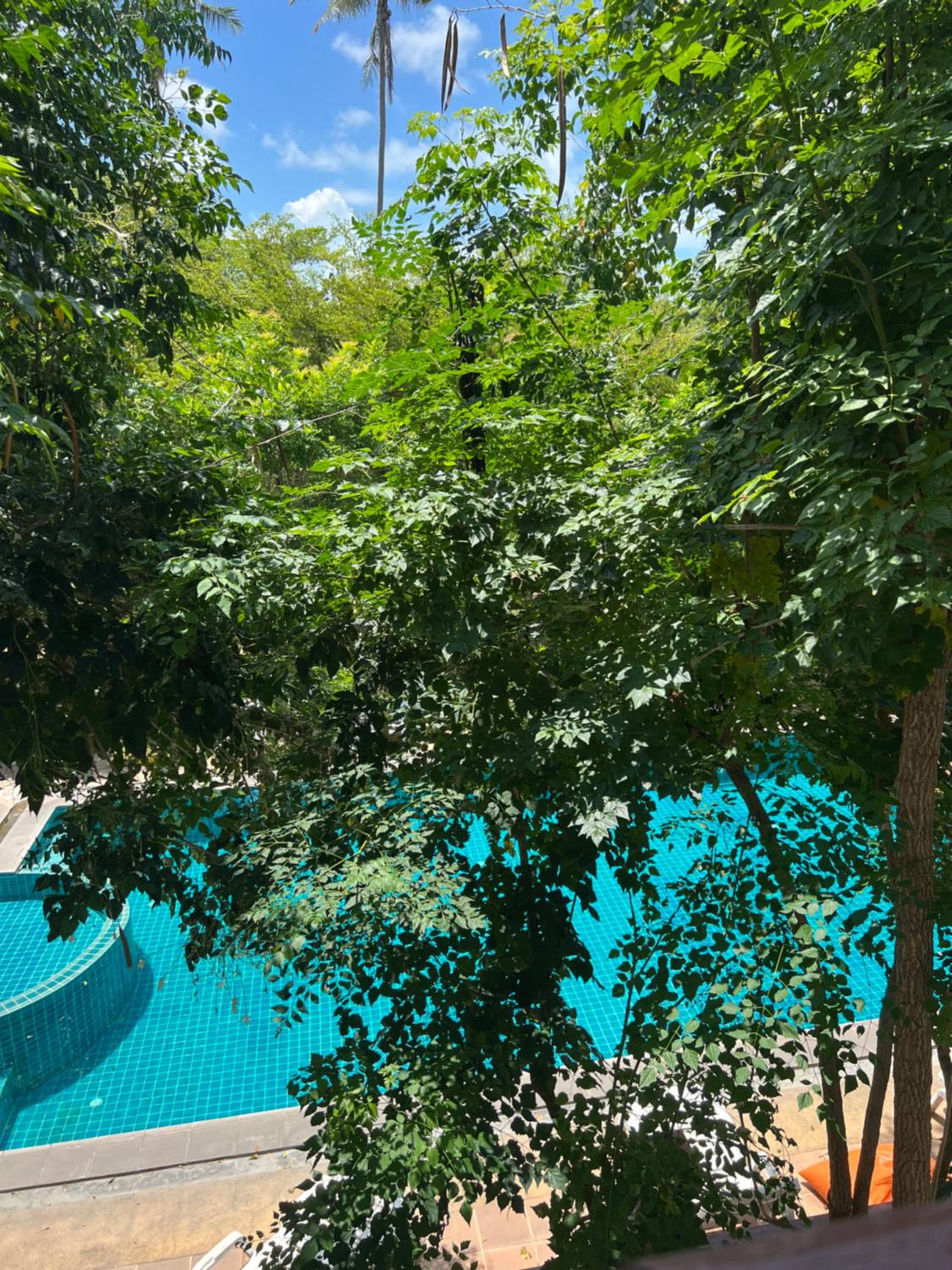 Double Room with Pool View - Top Floor - Photo 5