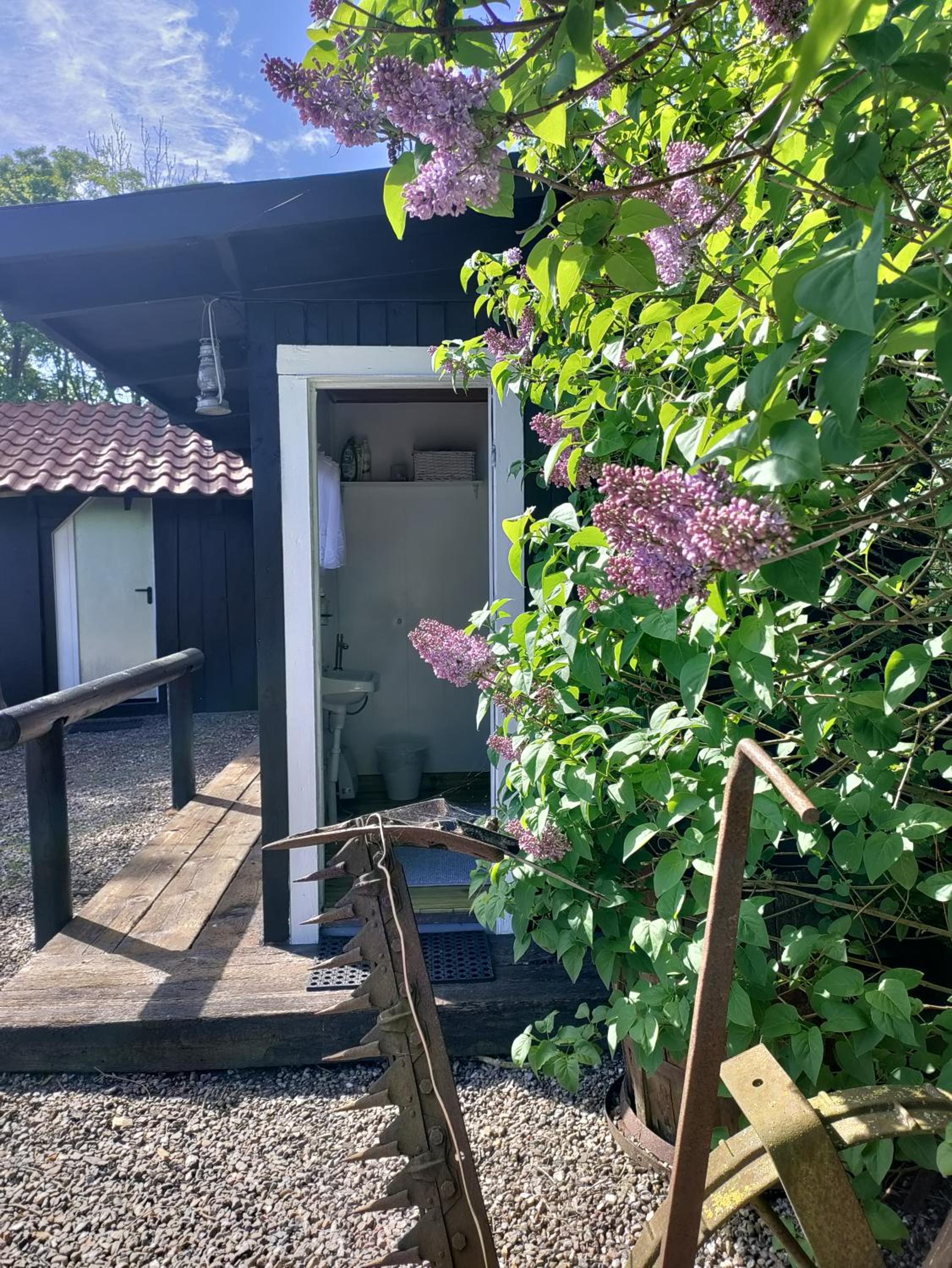 One-Bedroom House photo 2