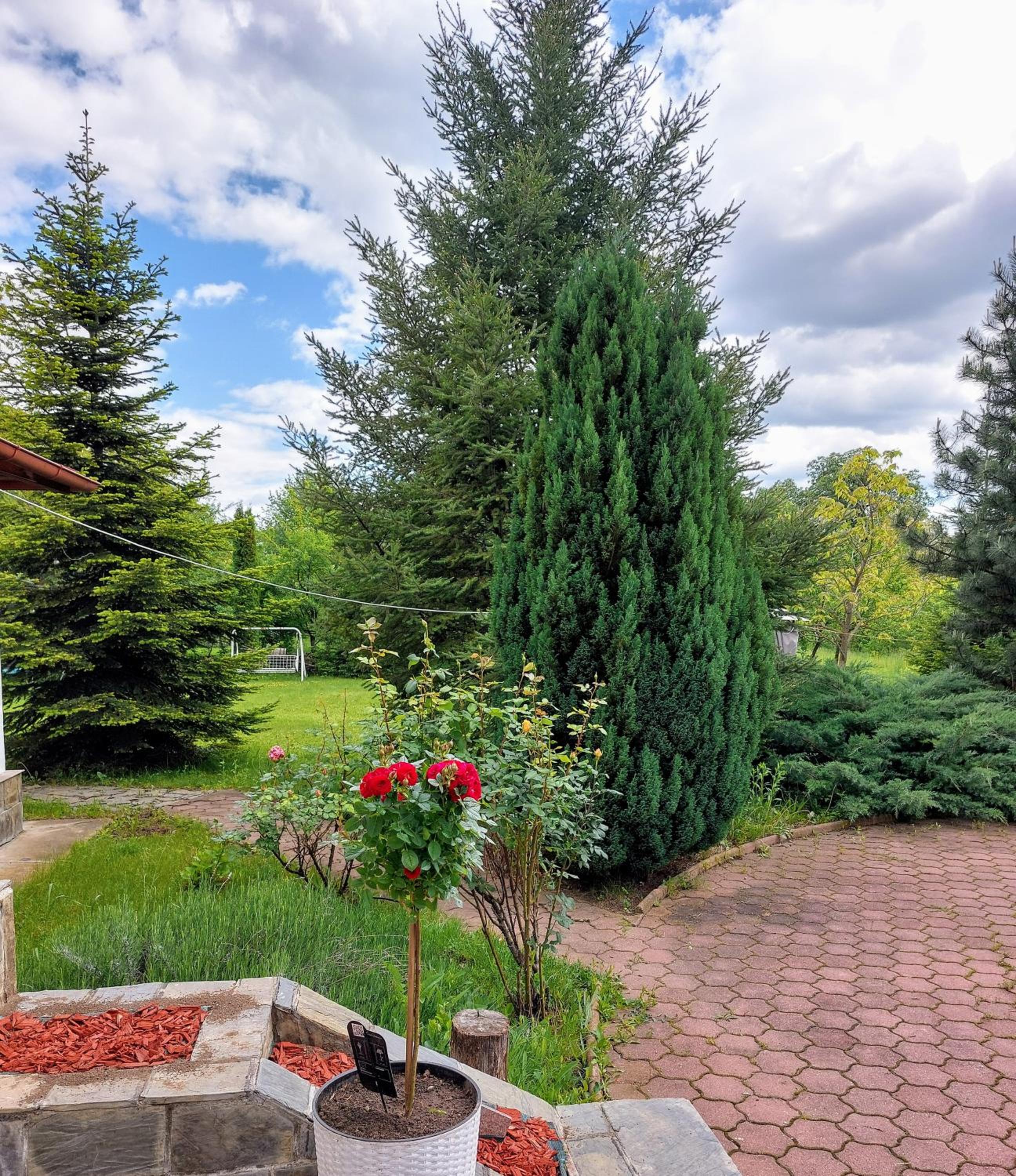 Villa photo 2