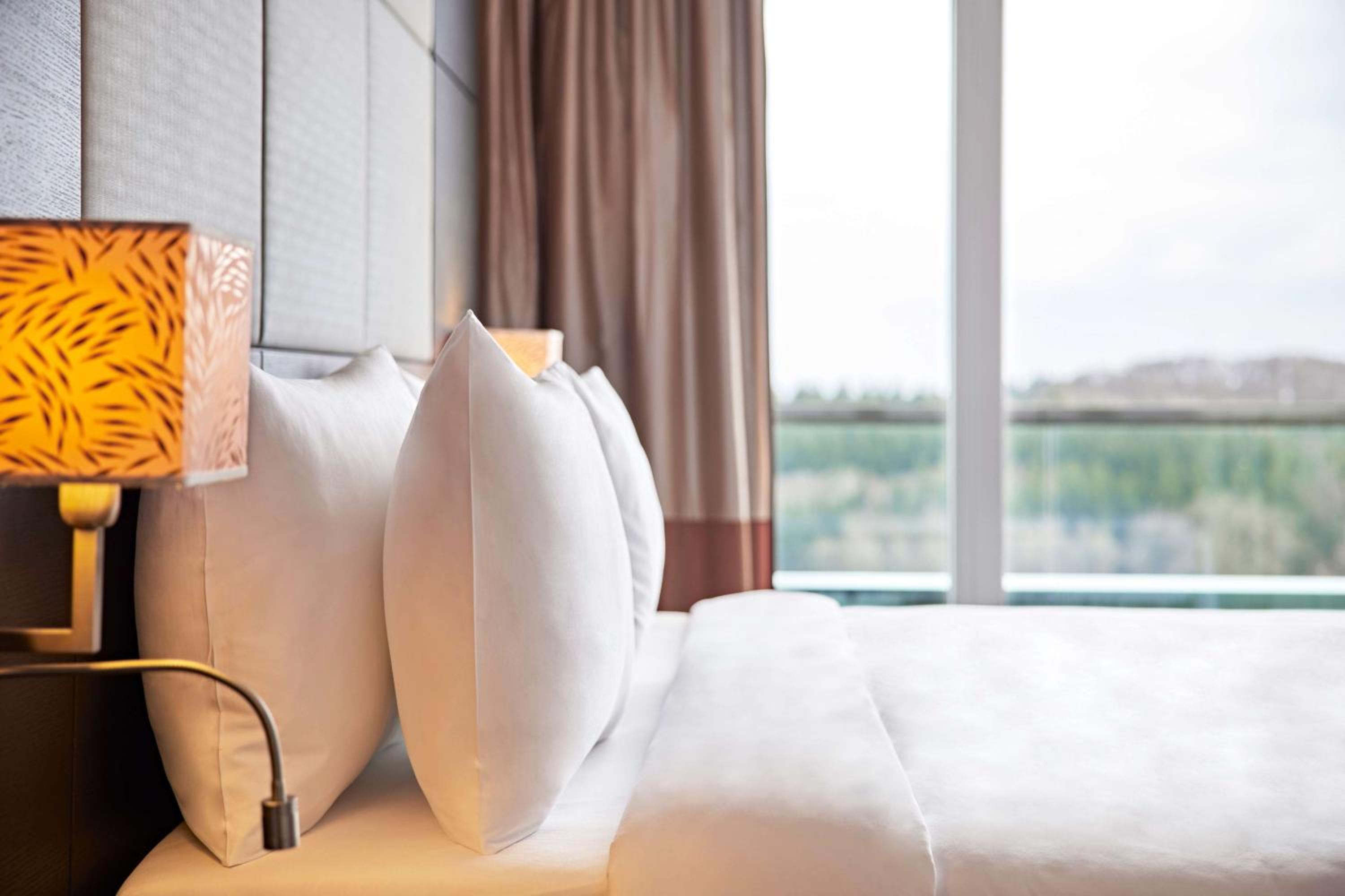 Deluxe Suite - Photo 2