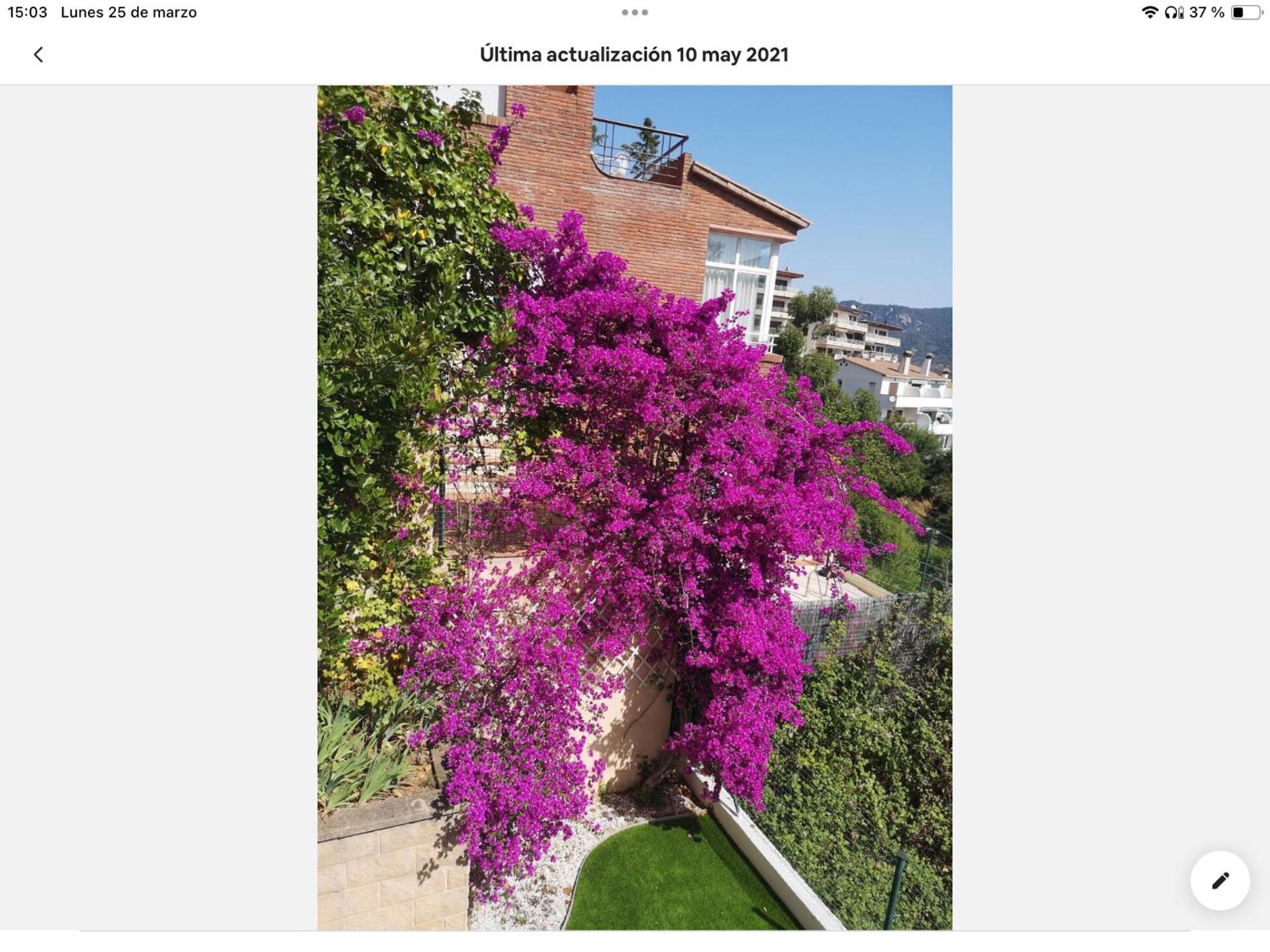 Villa - Photo 108