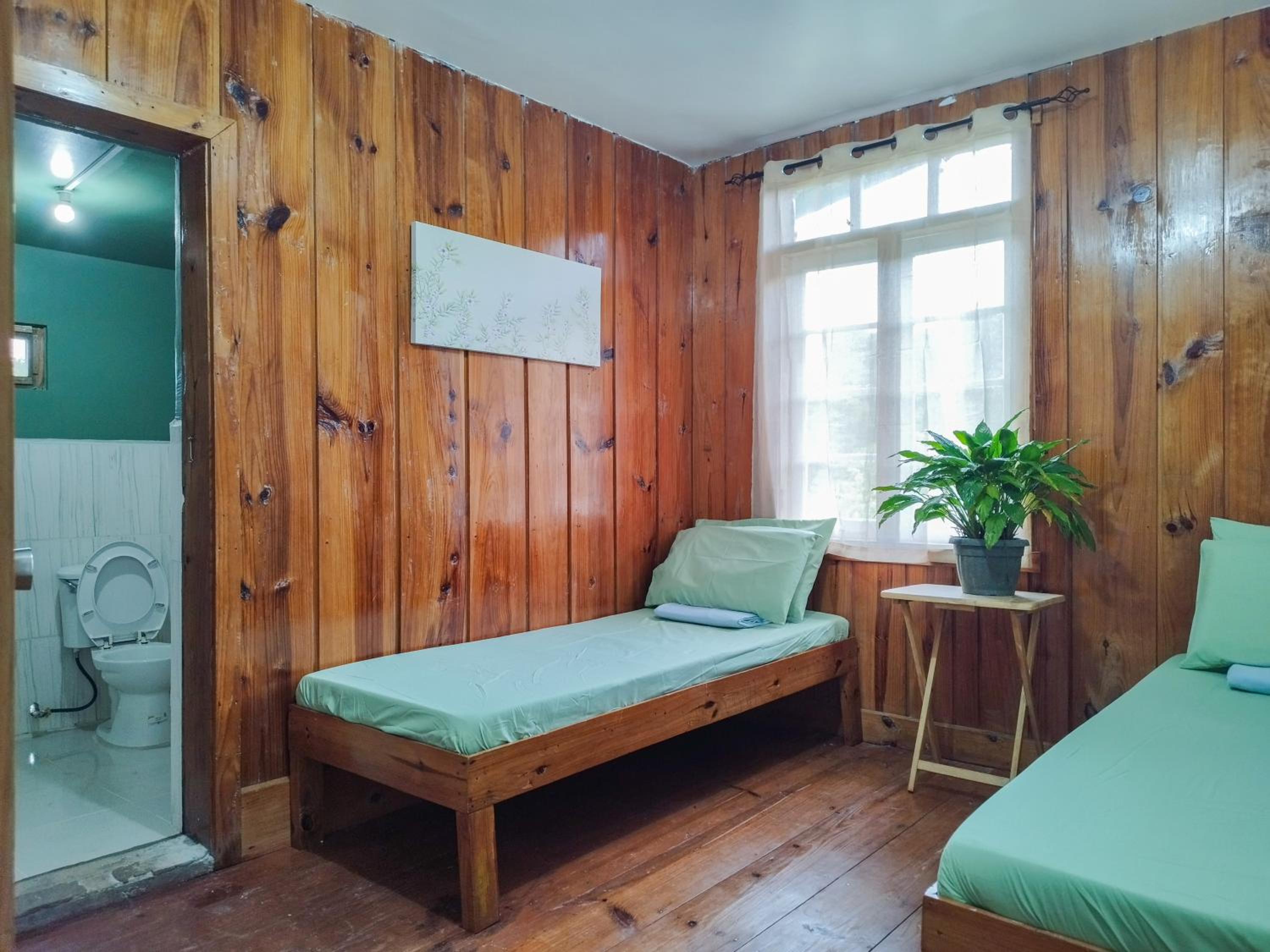 Large Twin Room photo 2