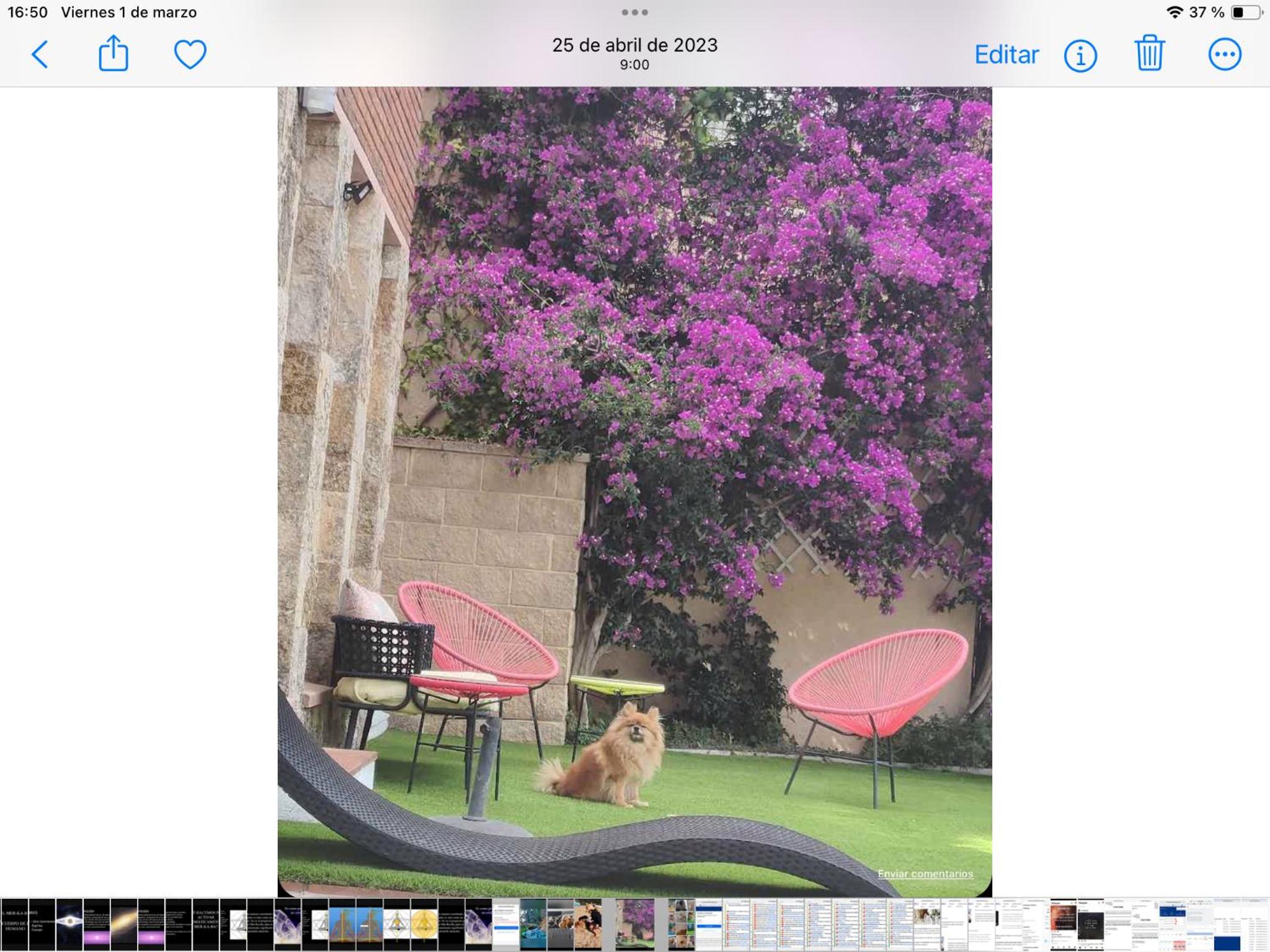 Villa - Photo 123