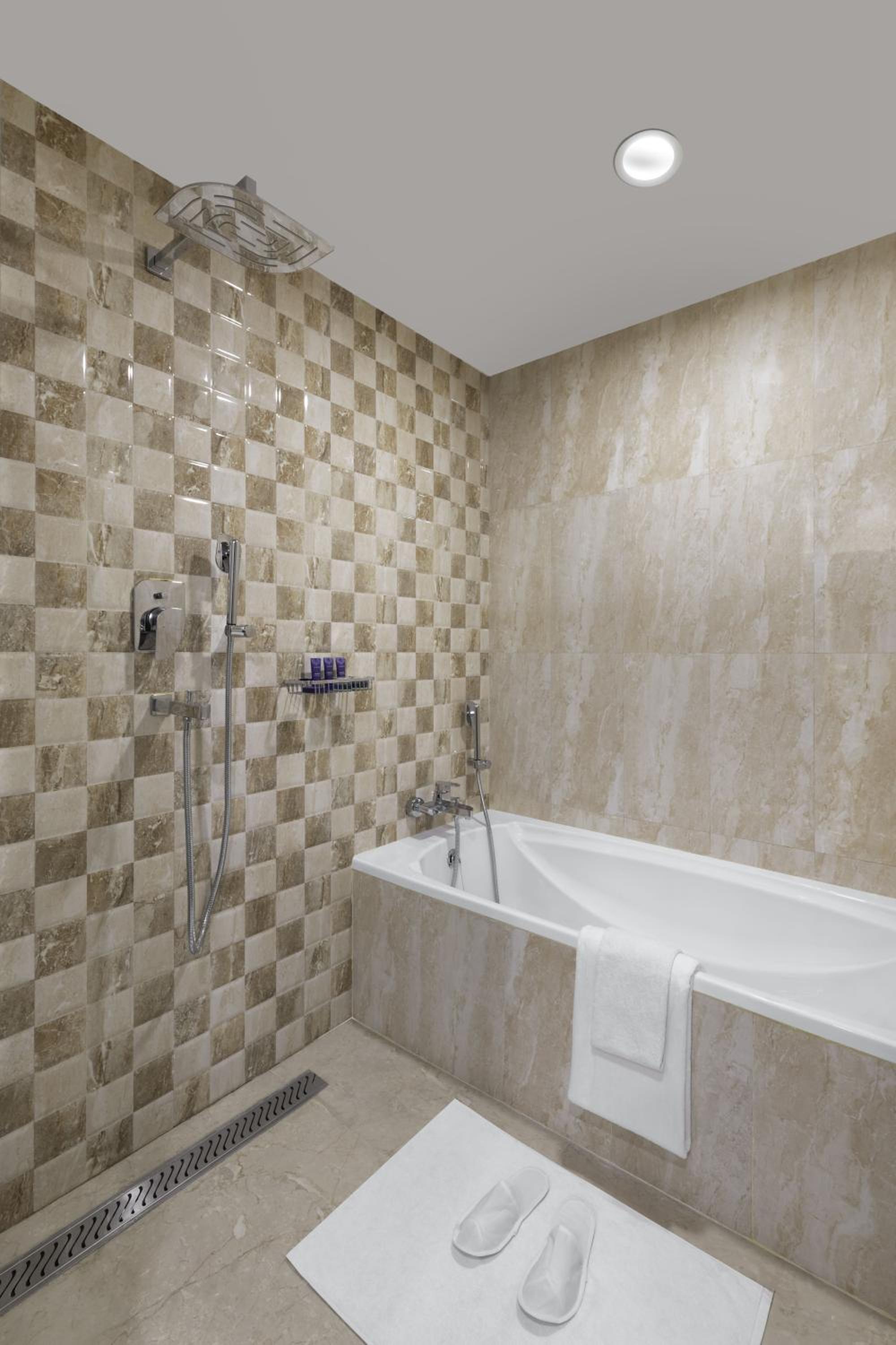 Premium Suite - Photo 5