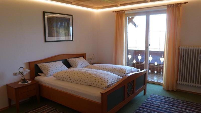 One-Bedroom Apartment with Balcony and Mountain View   photo 2