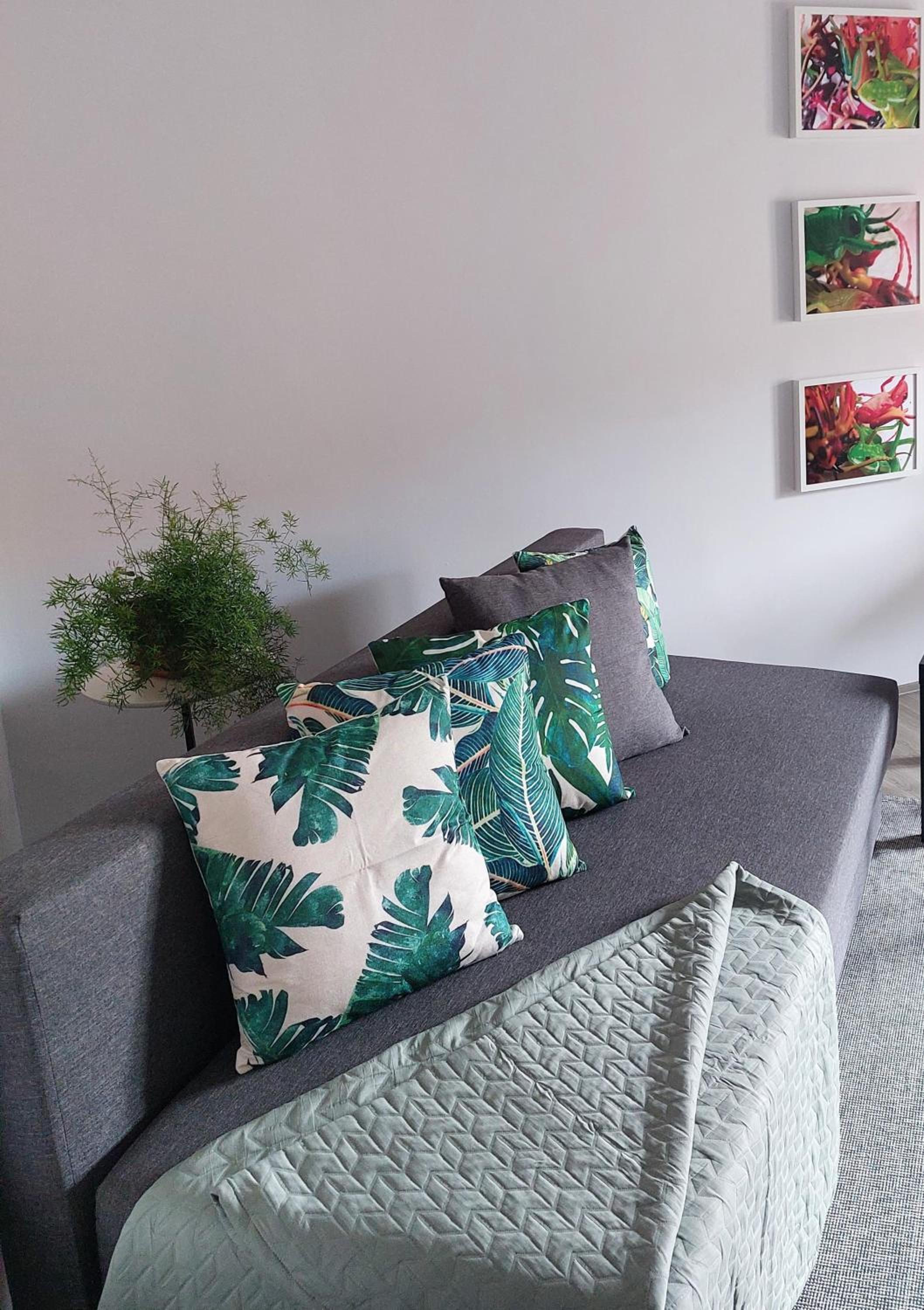 One-Bedroom Apartment photo 1