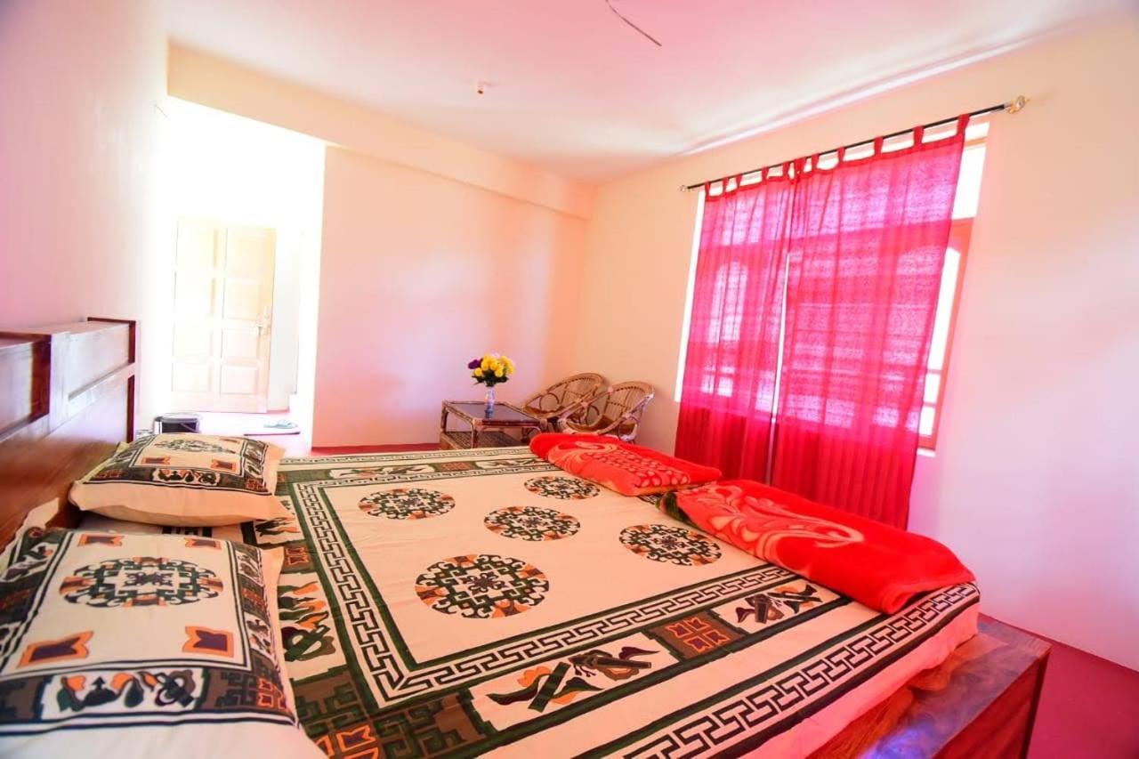 Superior Double Room photo 1