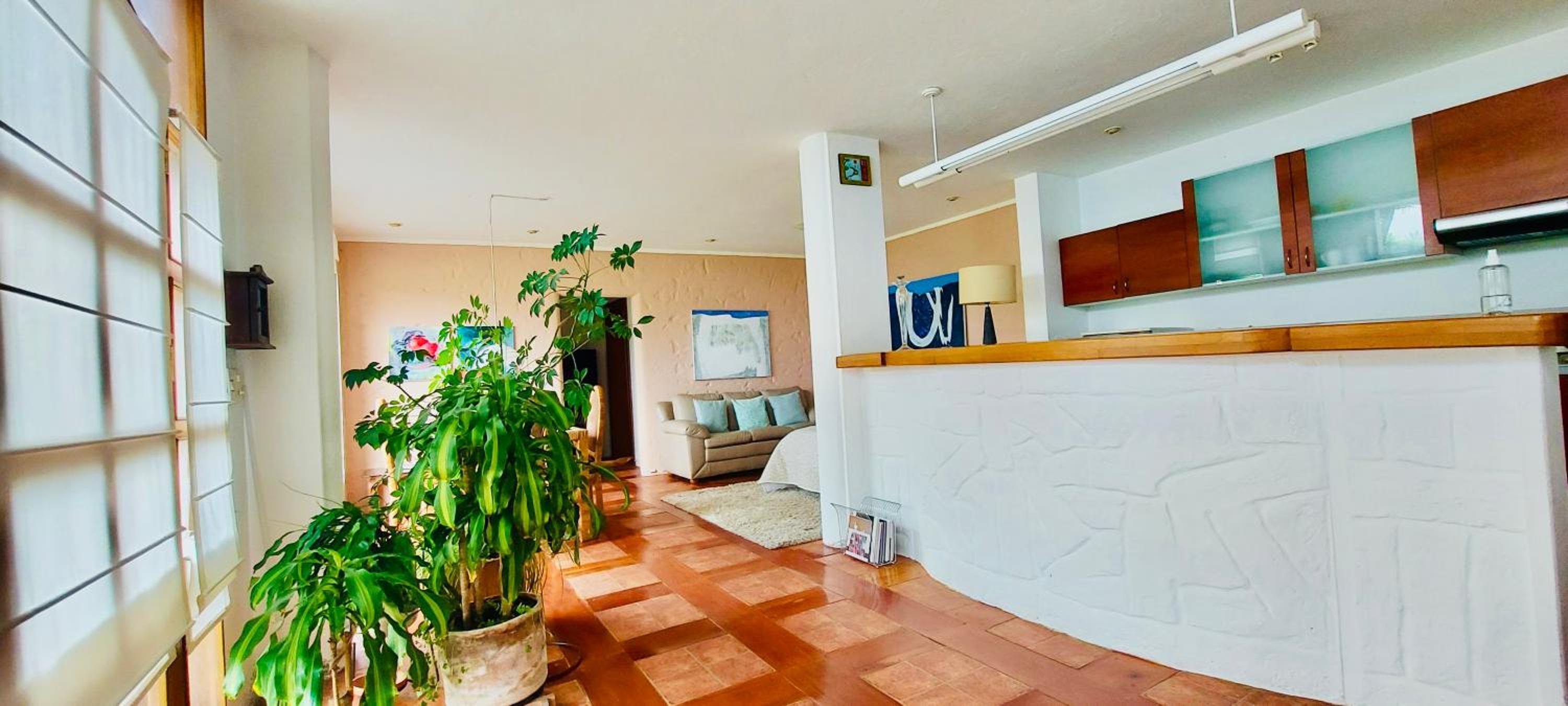 Deluxe One-Bedroom Apartment with Garden View photo 3