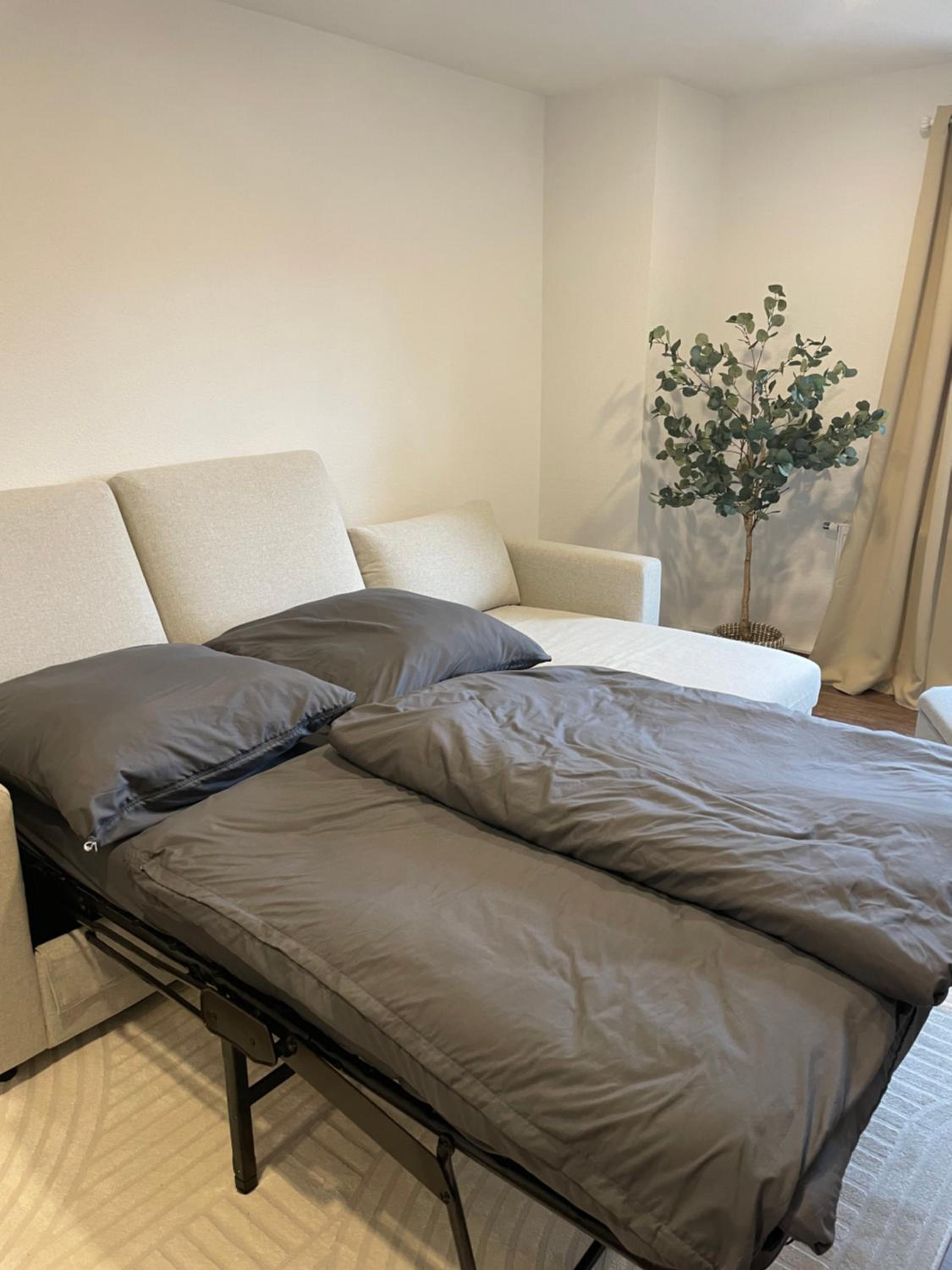 One-Bedroom Apartment photo 3