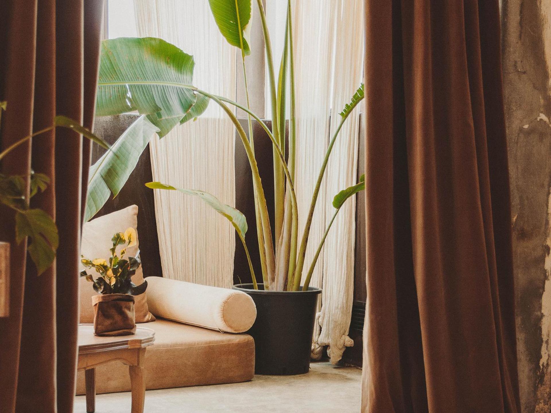 Mona's suite photo 1