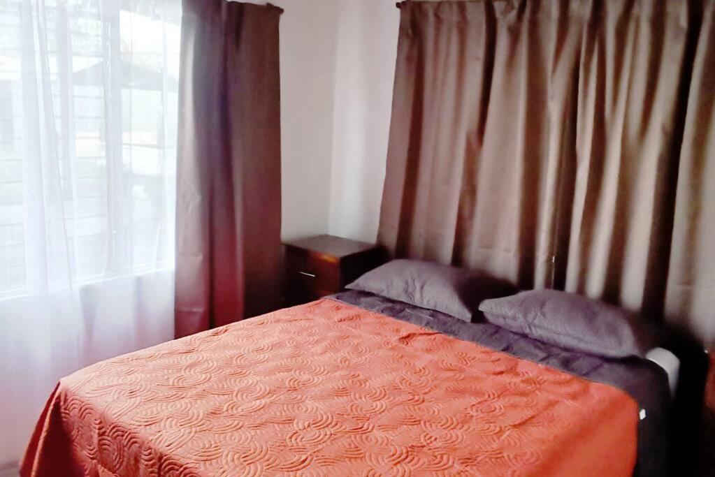 One-Bedroom House photo 1