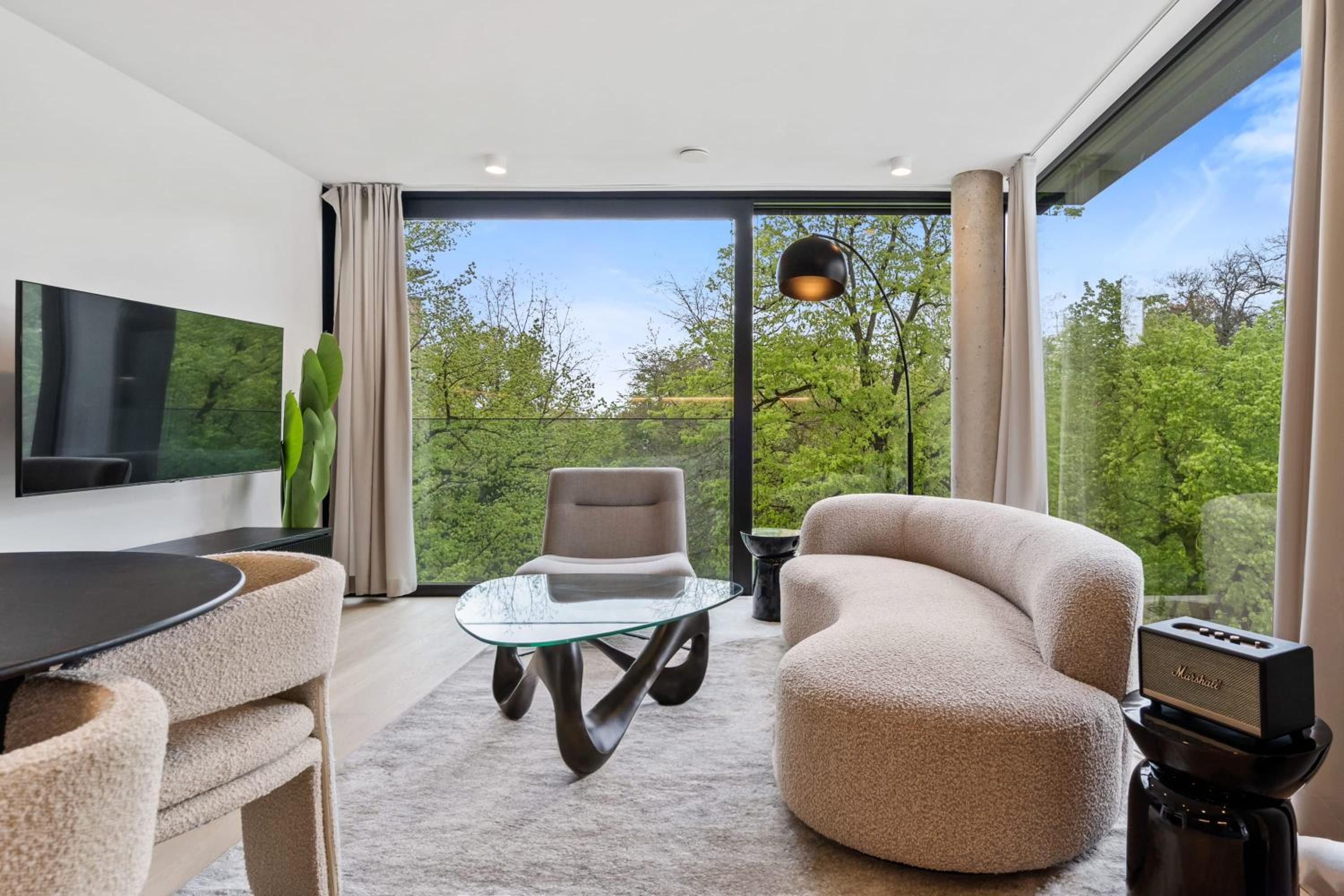 Duplex Apartment photo 2