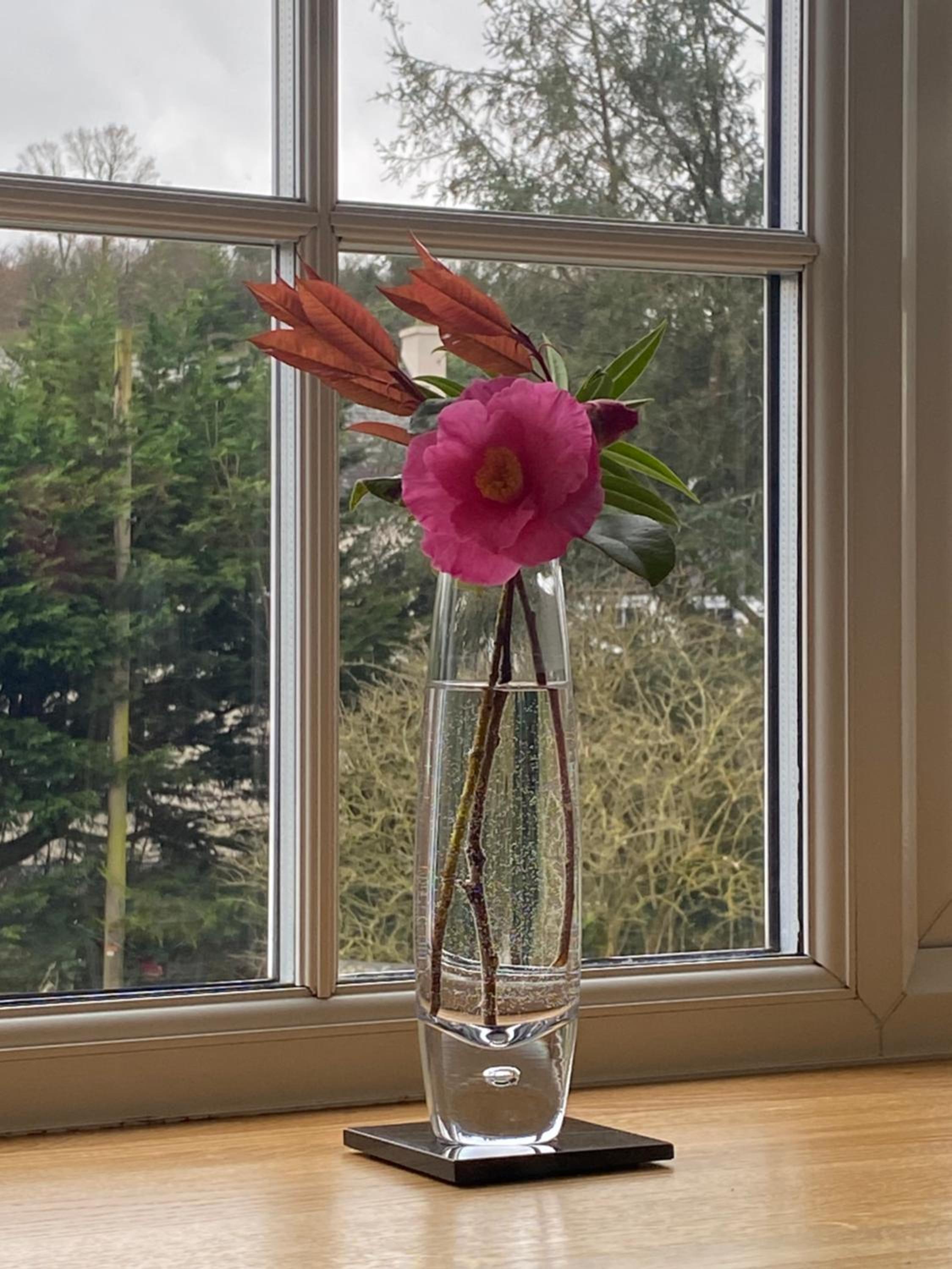 Double Room with Garden View - Photo 7