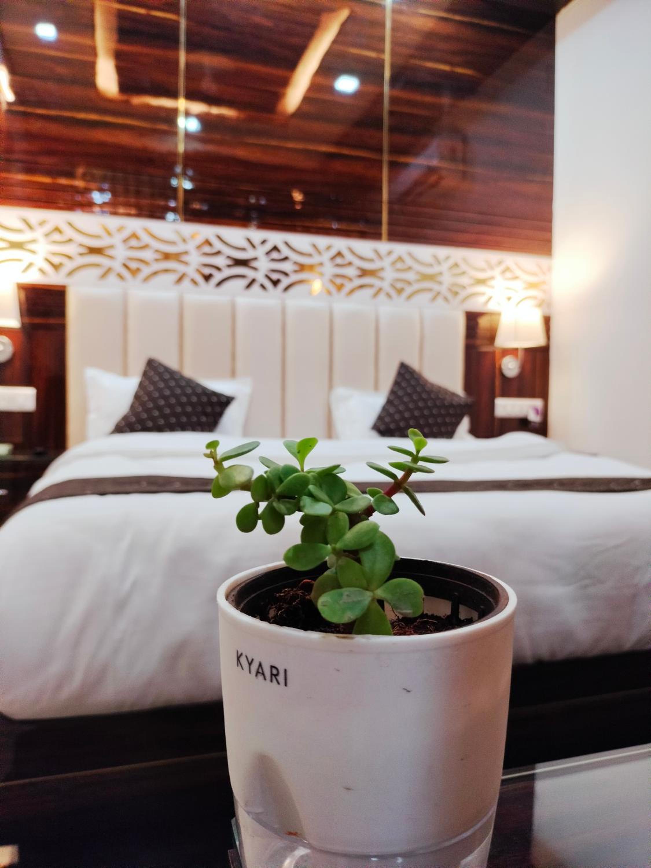 Executive Suite - Photo 40