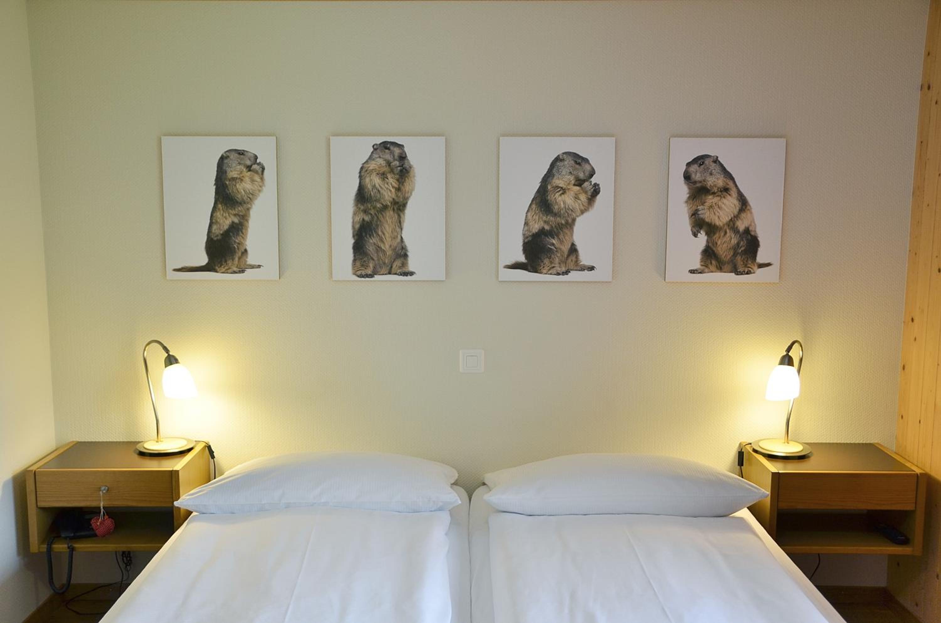 Basic Double Room - Photo 6