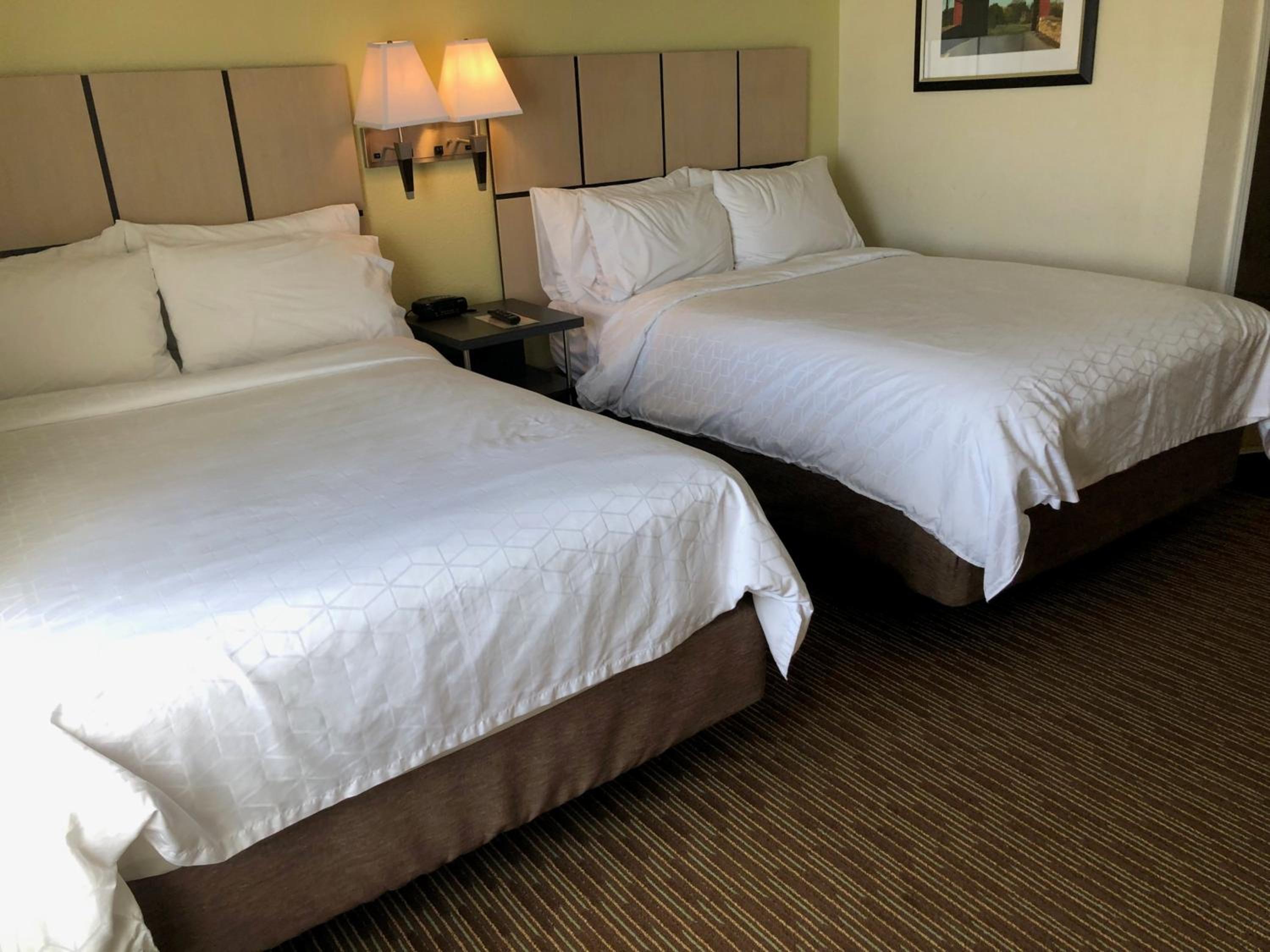 Studio Suite with Two Double Beds - Photo 2