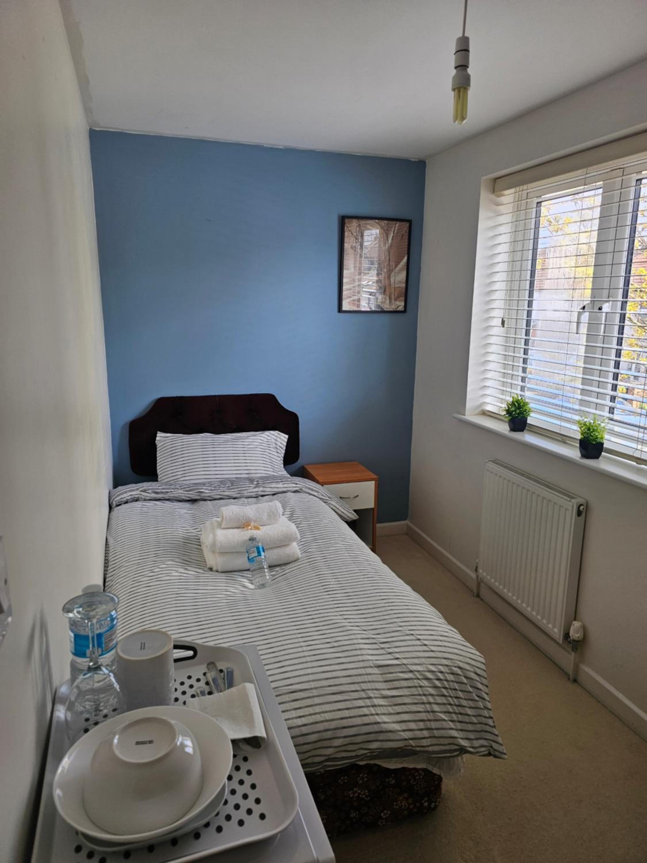 Single Room photo 1