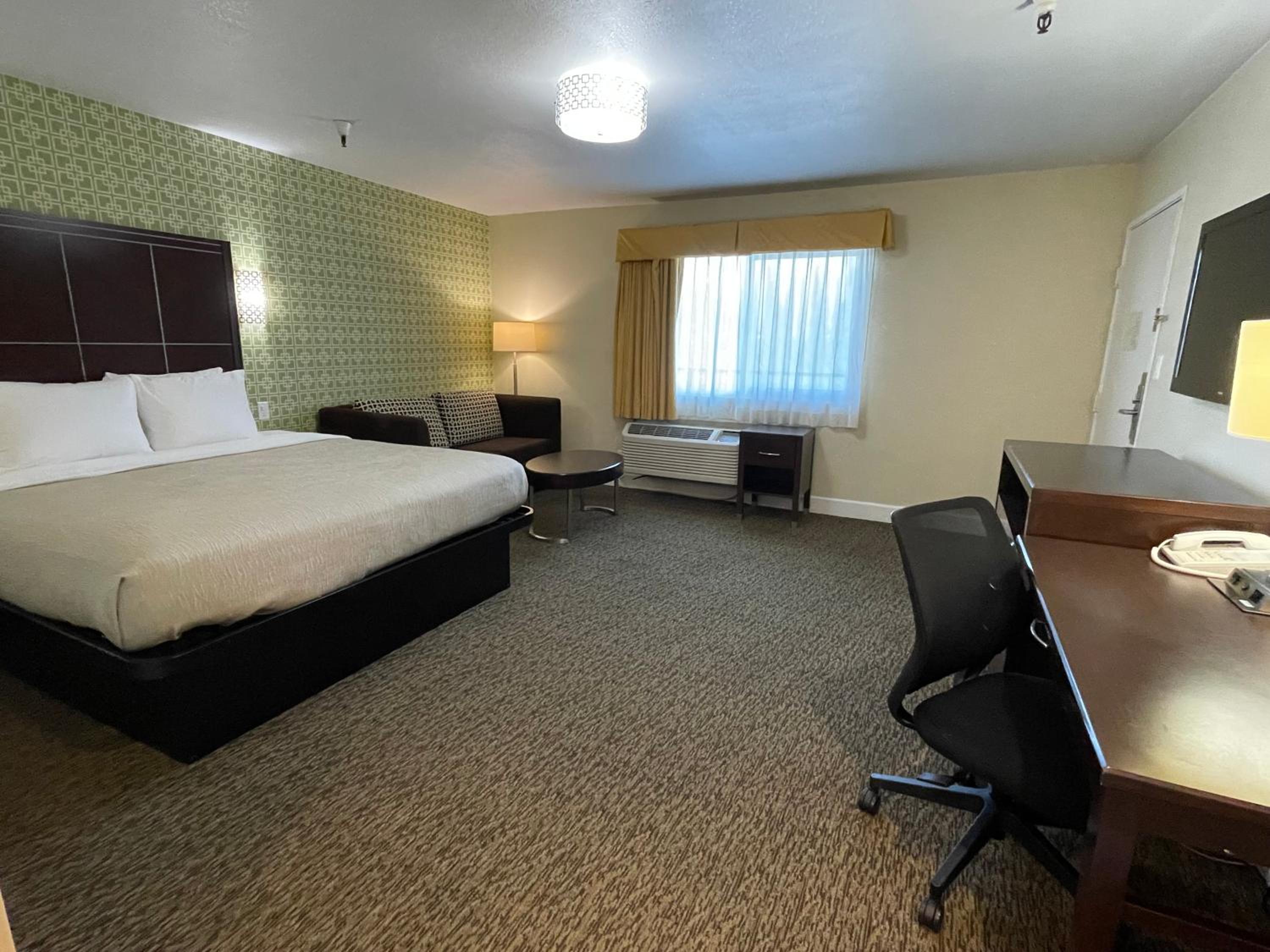 One Room Suite with Sofa bed - Non Smoking - Photo 1