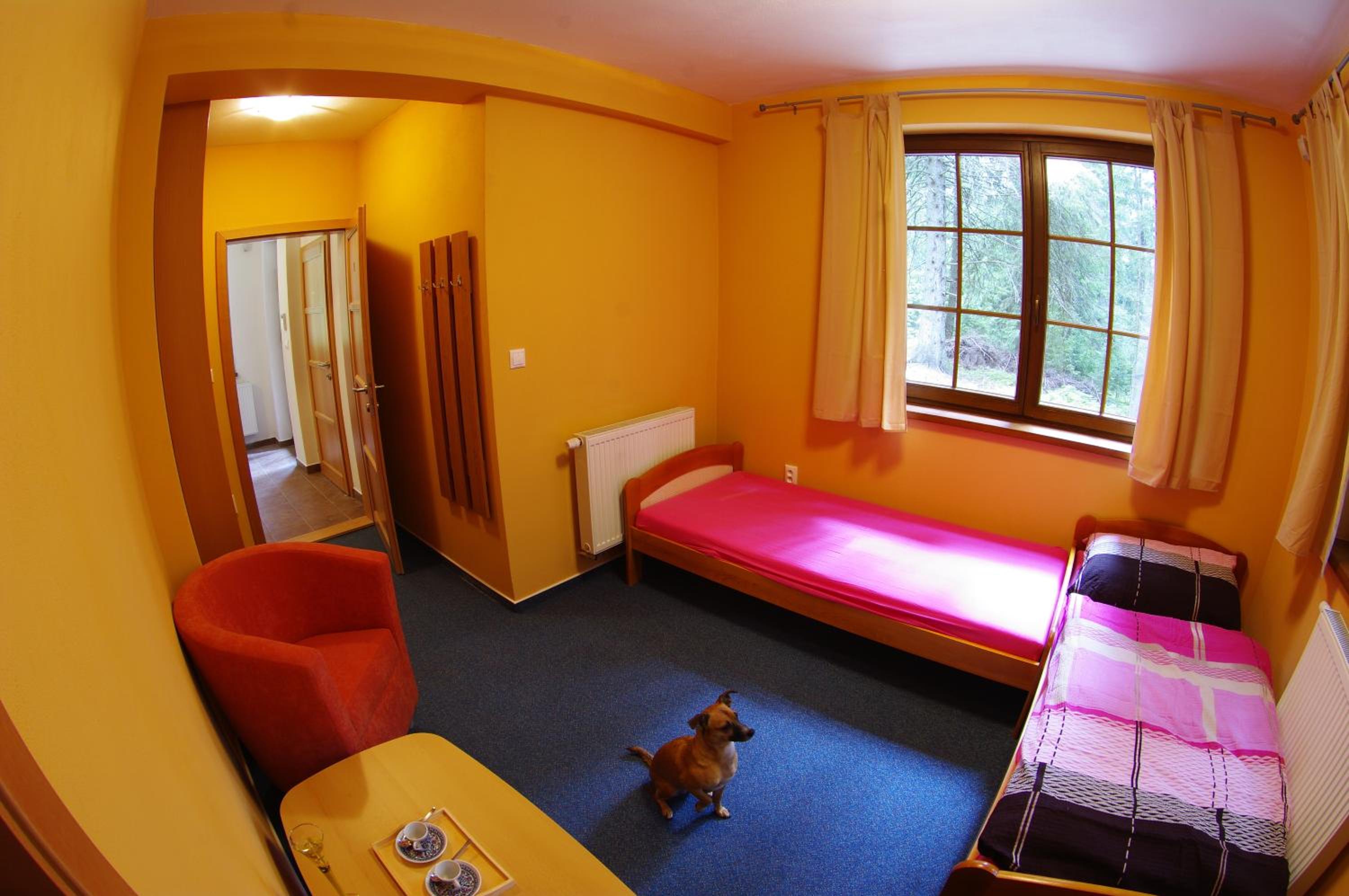 Duplex Apartment photo 1