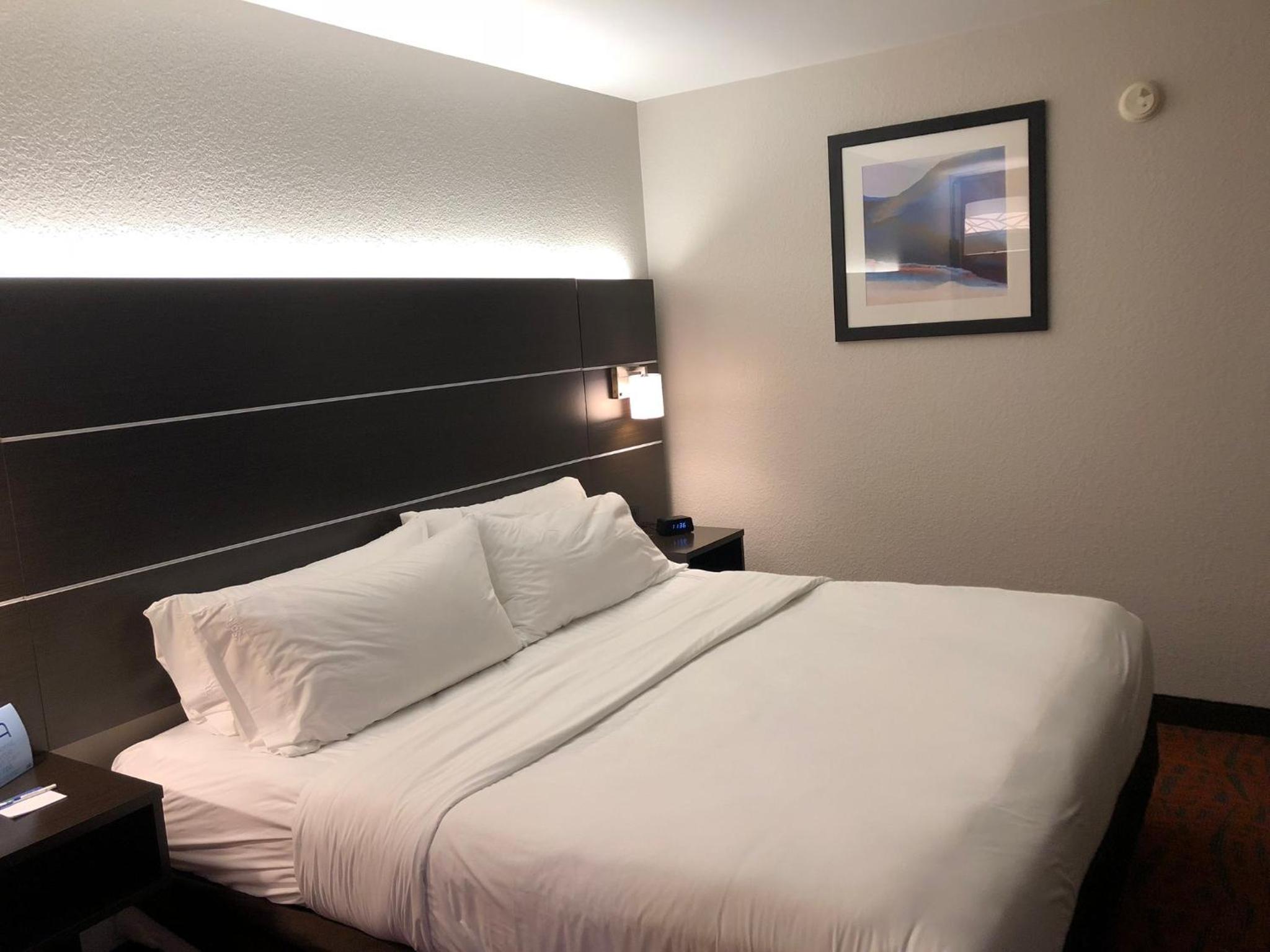 King Suite with Jetted Tub - Photo 7
