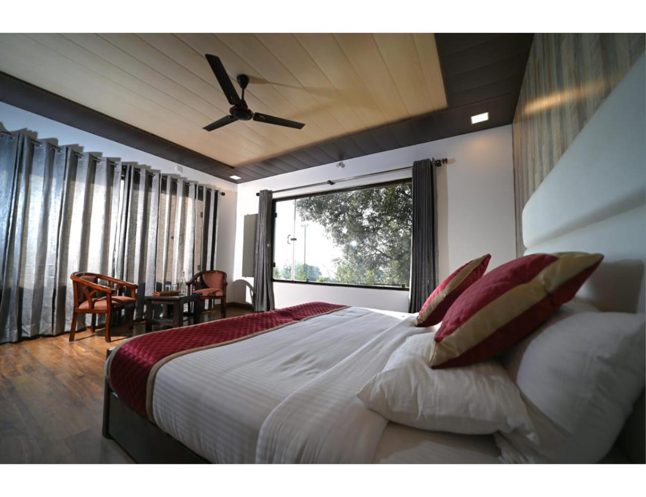 King Room photo 1
