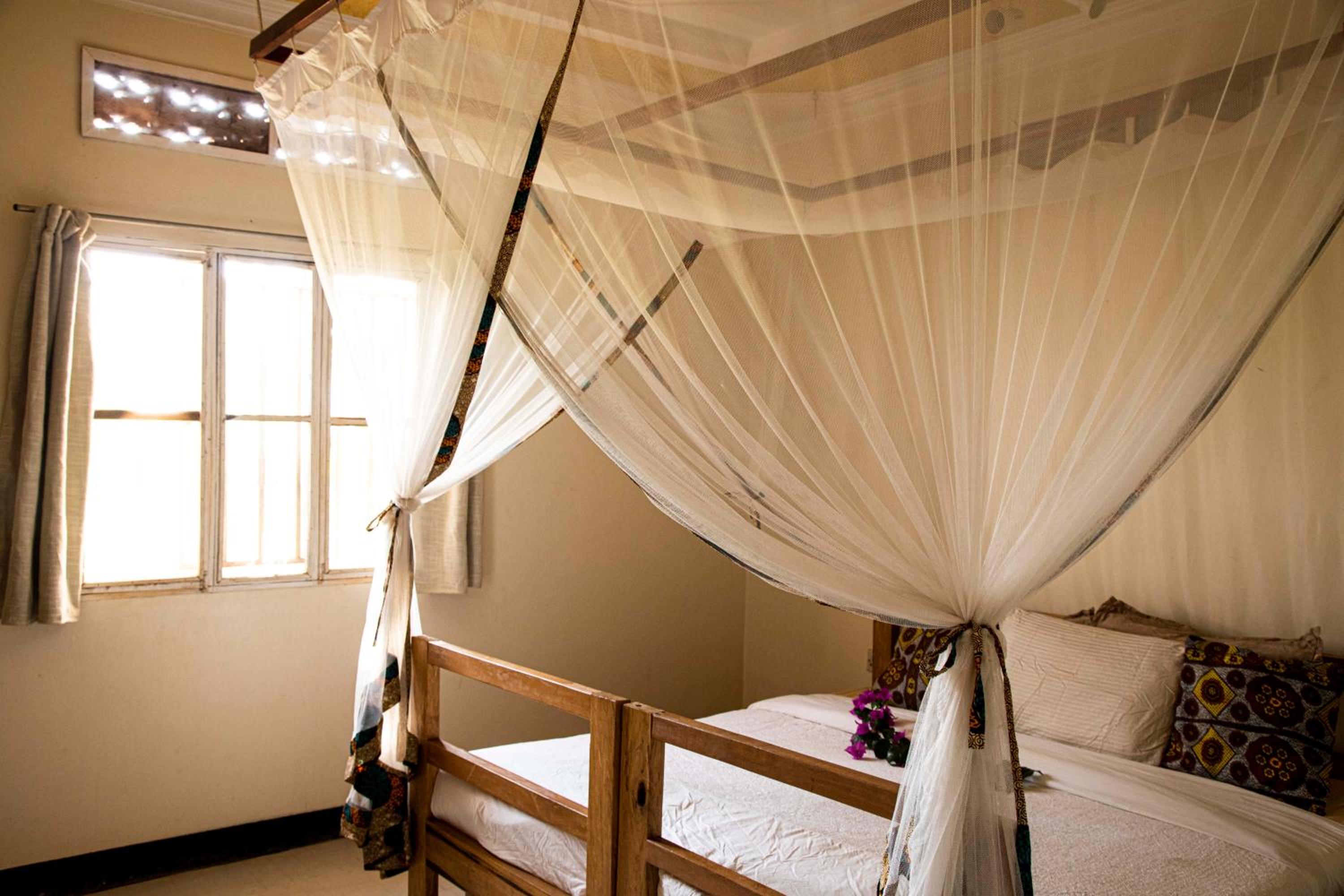 Standard Double or Twin Room photo 1