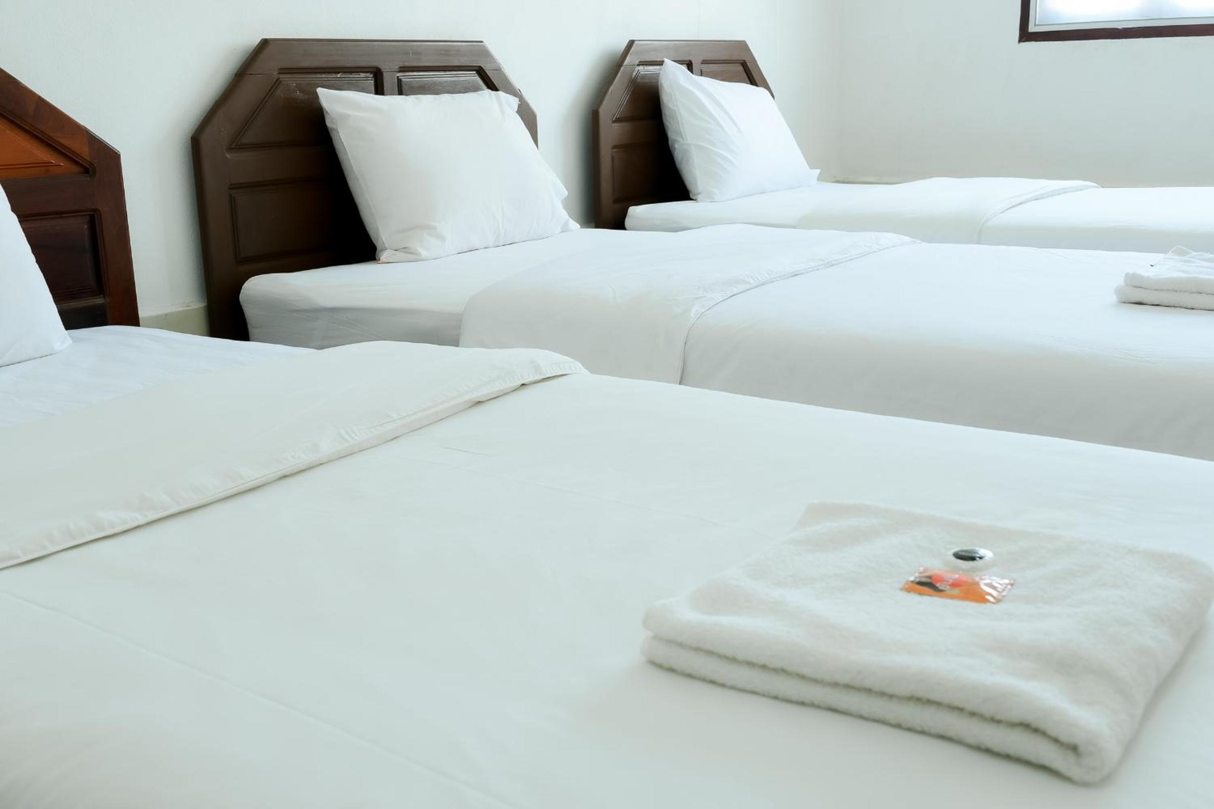 Triple Room with Mountain View photo 3