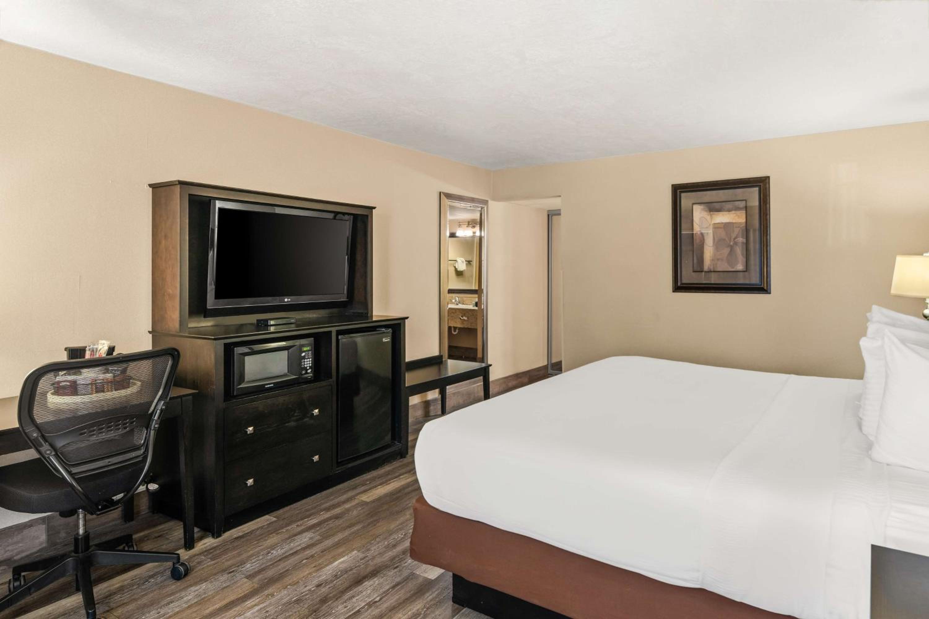 King Room - Pet Friendly/Non-Smoking - Photo 3