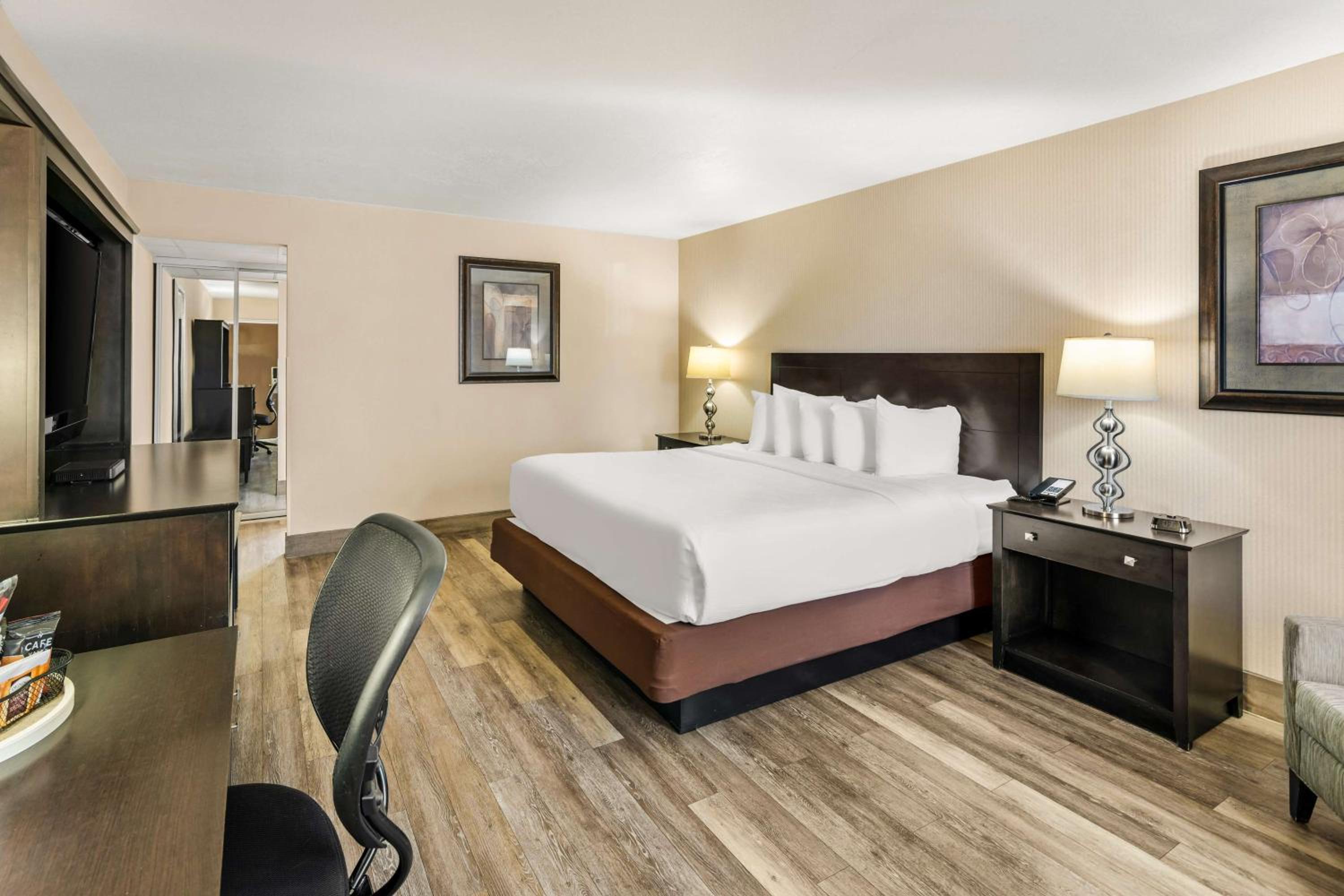 King Room - Pet Friendly/Non-Smoking - Photo 5