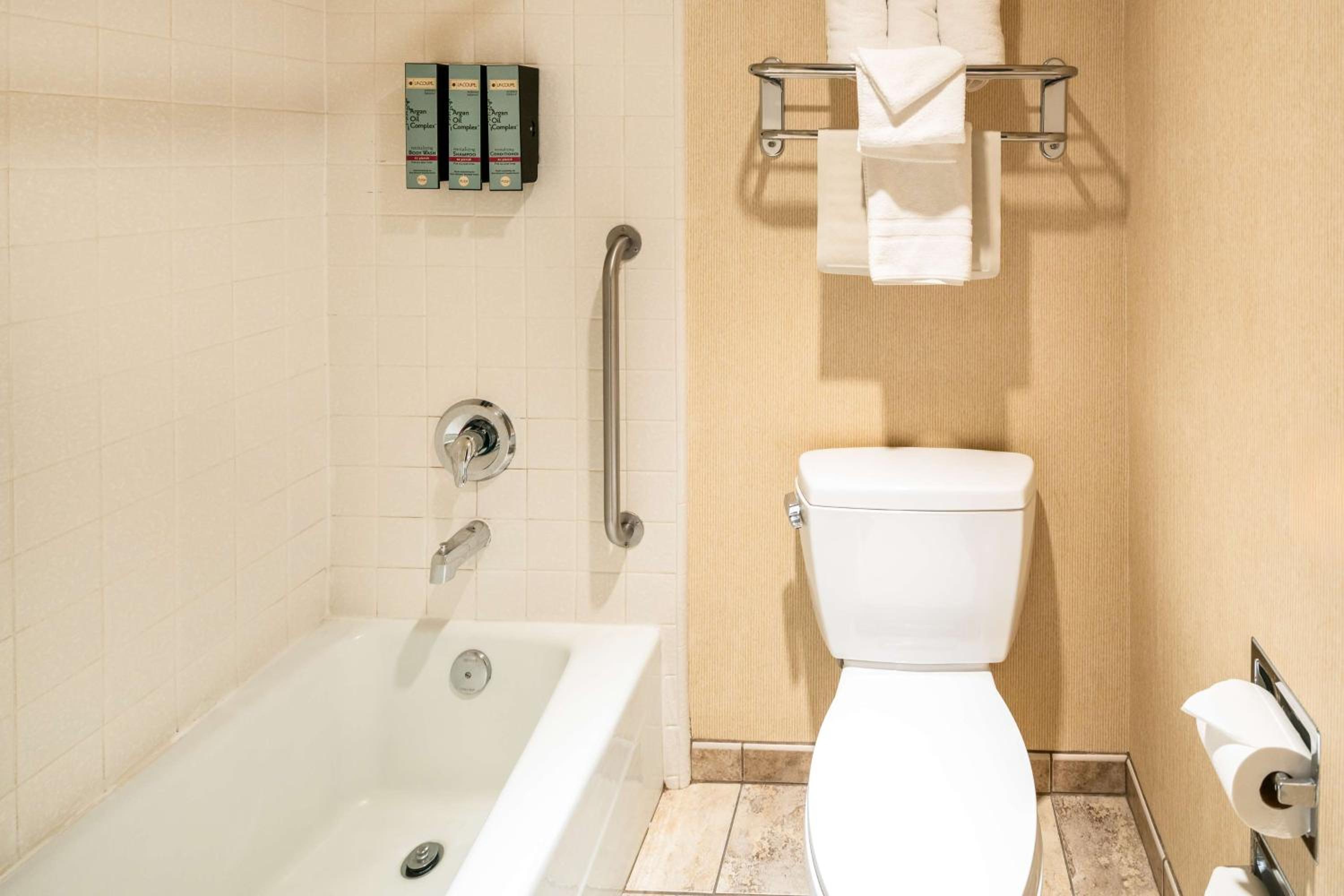 King Room - Pet Friendly/Non-Smoking - Photo 4