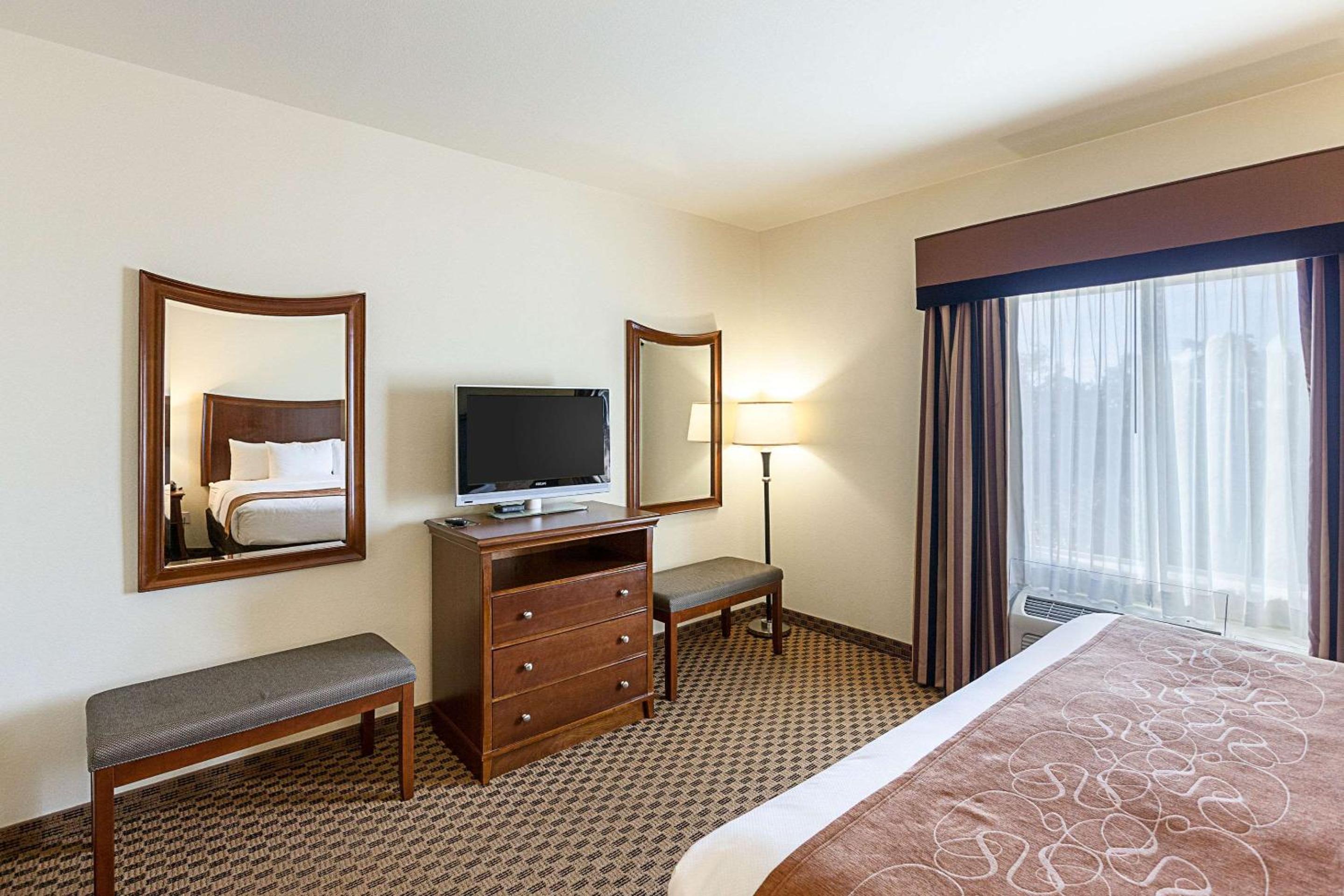 King Suite with Sofa Bed - Non-Smoking - Photo 5