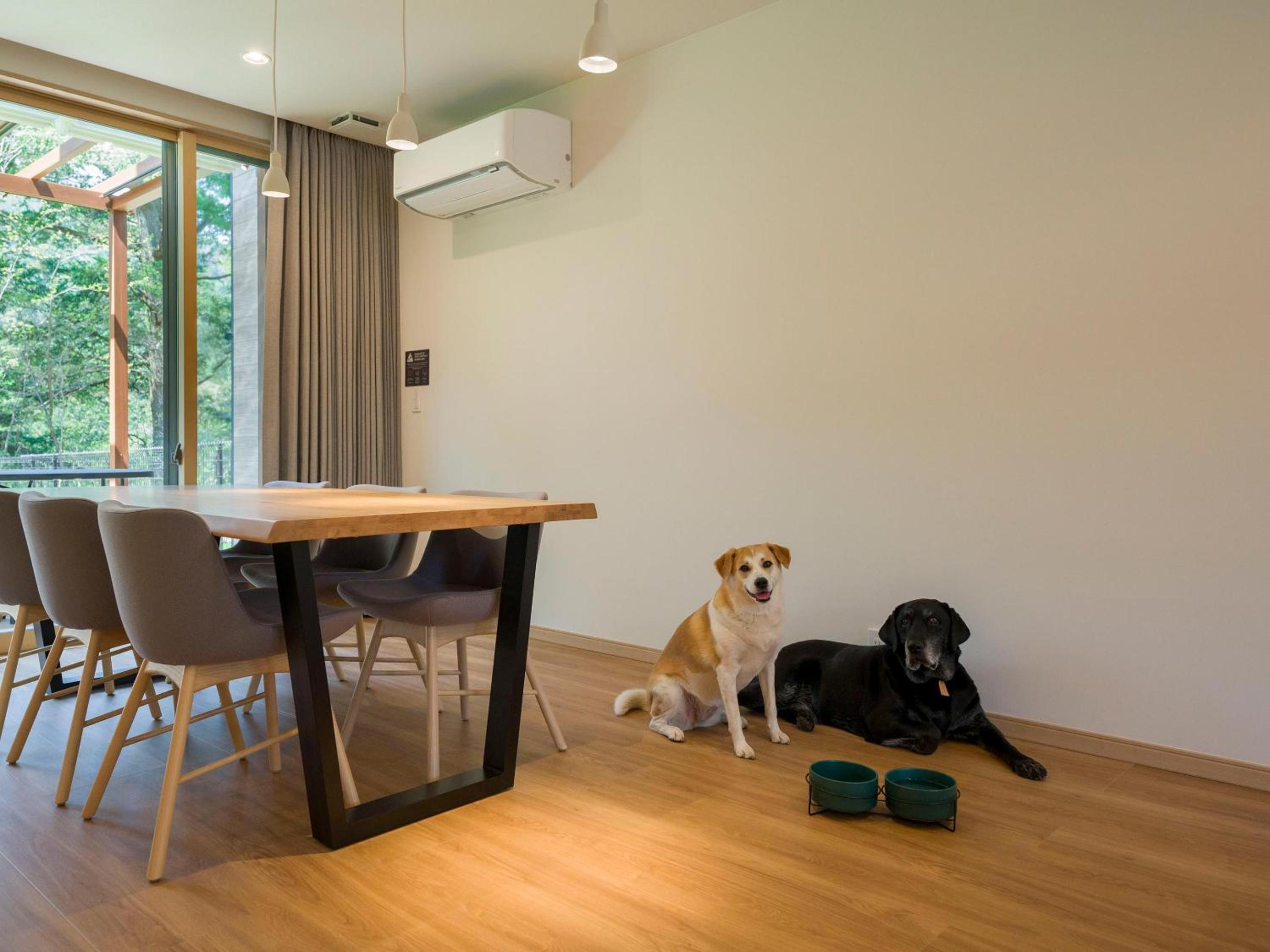 B type：Natural hot springs, sauna, dog run [dog-friendly] - Photo 2